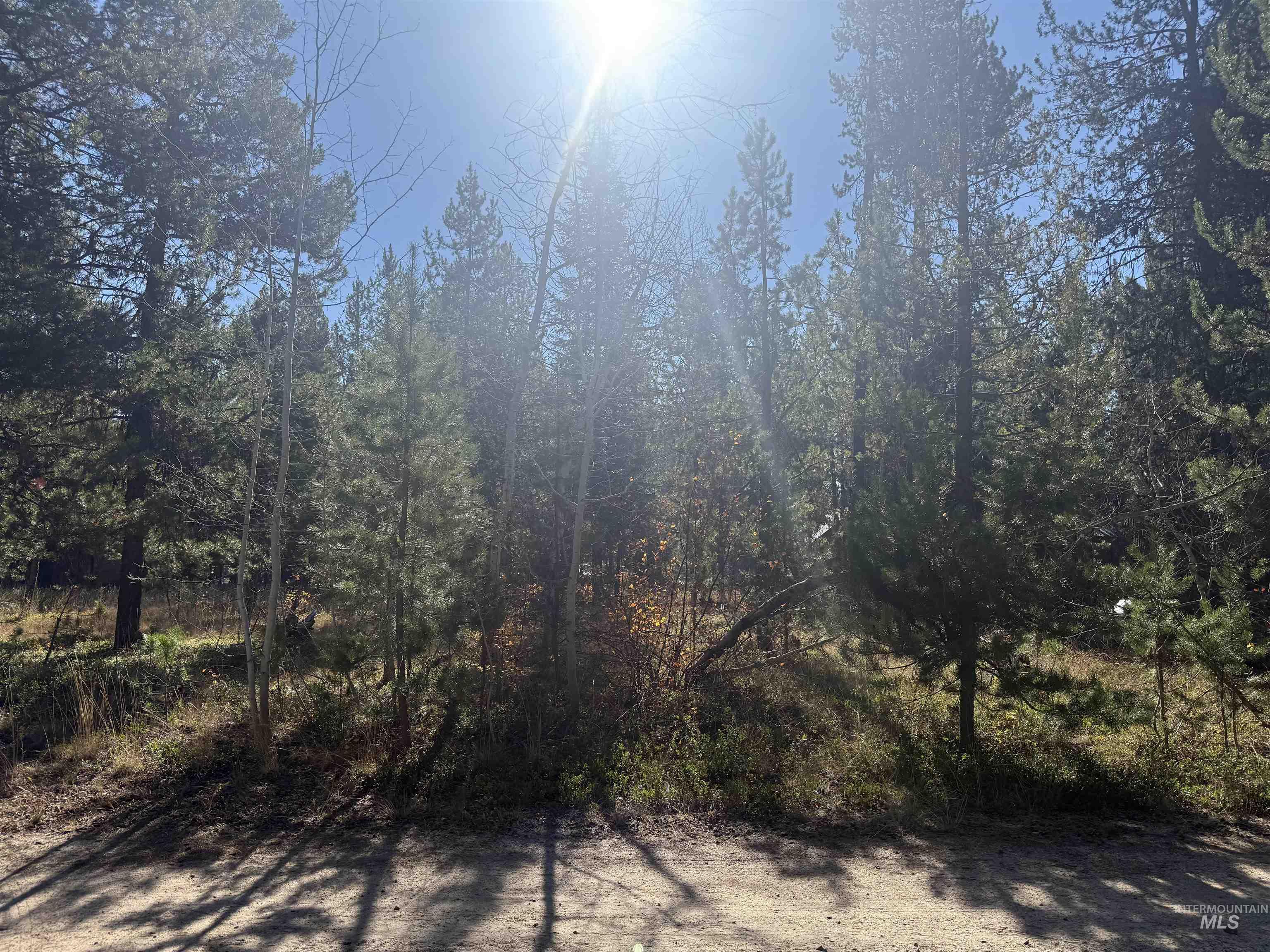 12962 Patty Dr., Donnelly, Idaho 83615, Land For Sale, Price $215,000,MLS 99002419