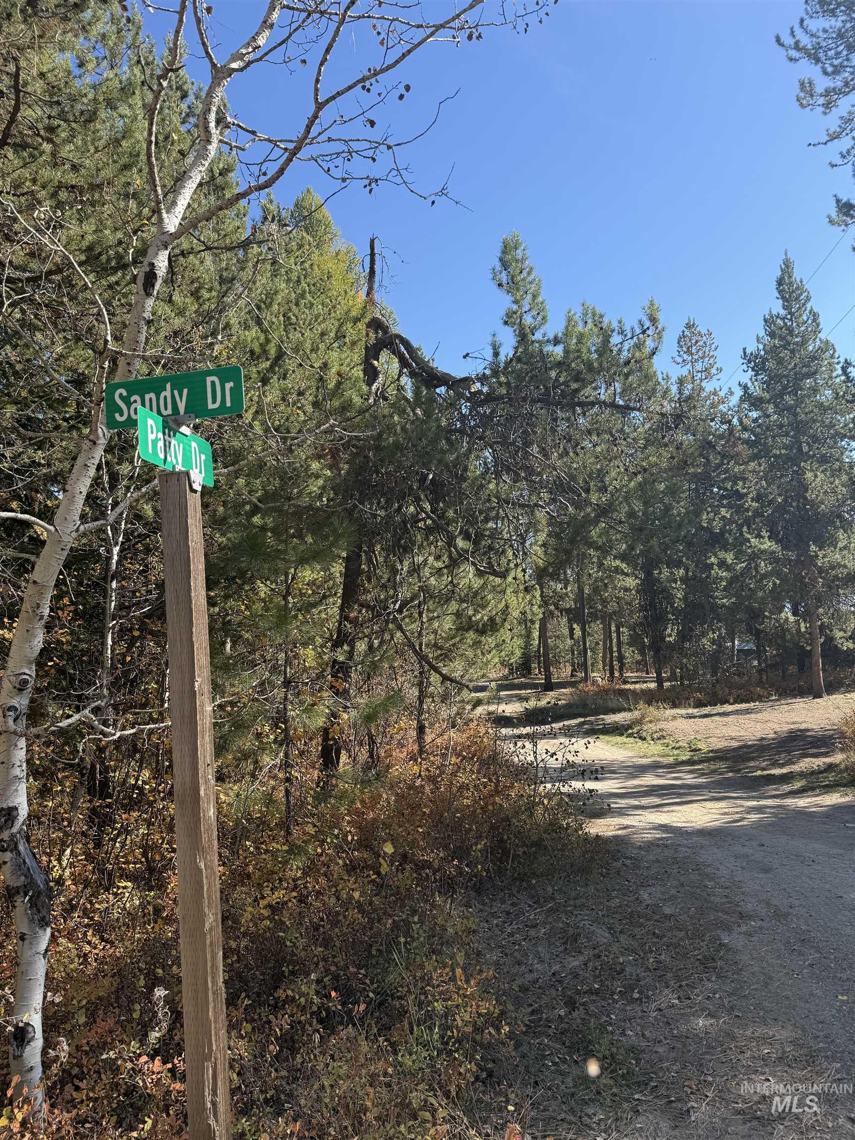 12962 Patty Dr., Donnelly, Idaho 83615, Land For Sale, Price $215,000,MLS 99002419
