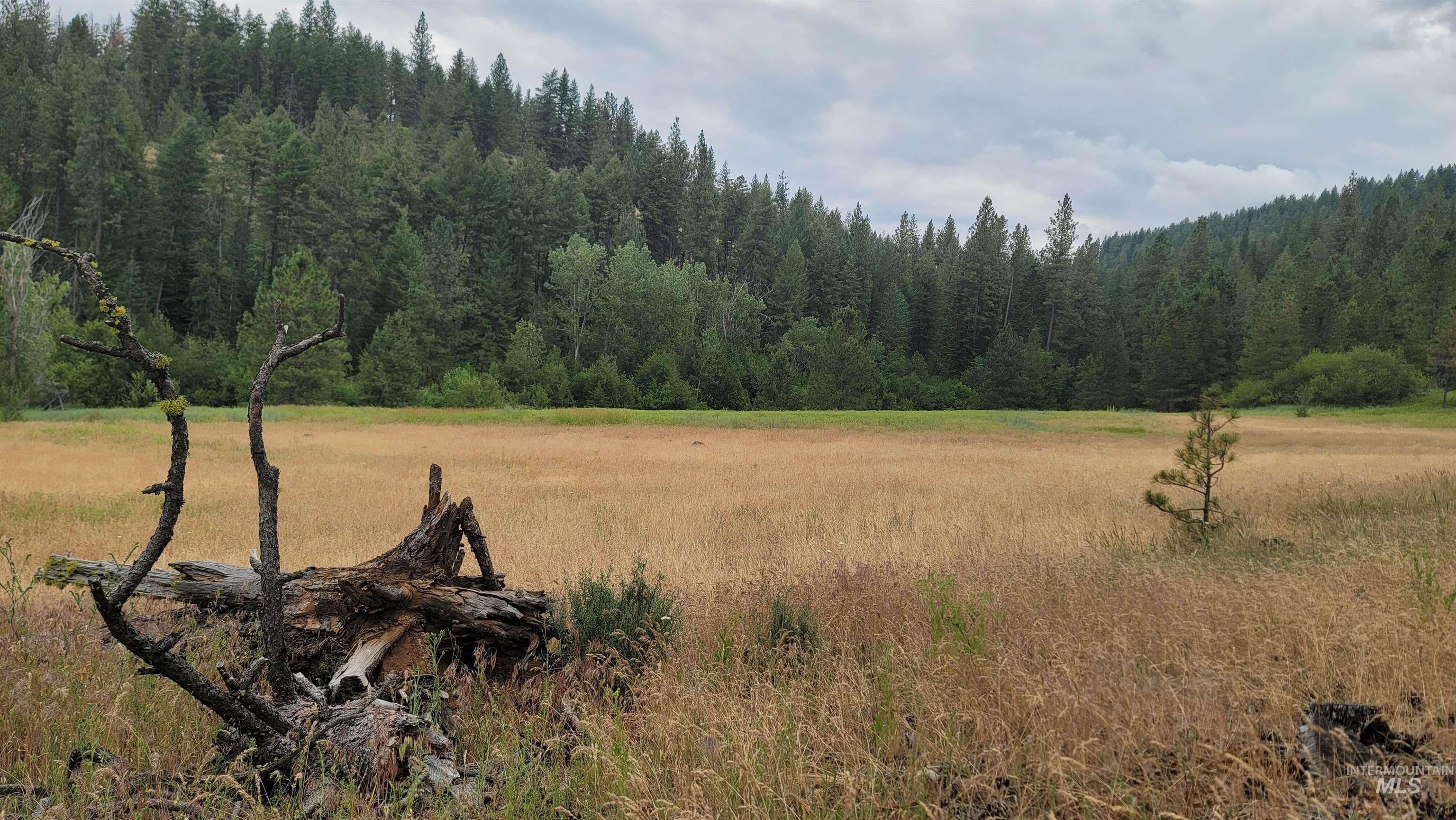 1824 Pole Creek Rd., Council, Idaho 83612, Land For Sale, Price $665,000, 99002505