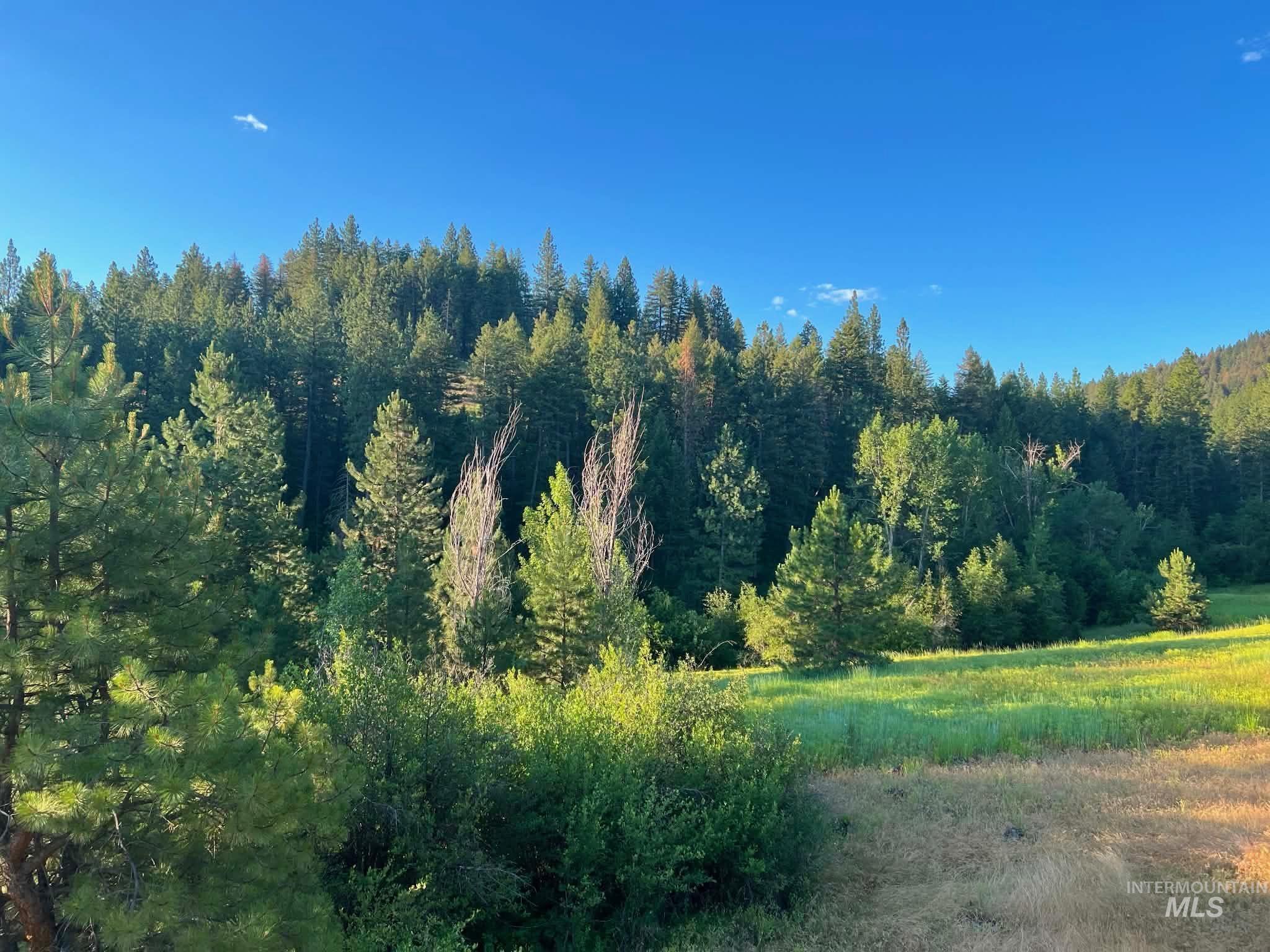 1824 Pole Creek Rd., Council, Idaho 83612, Land For Sale, Price $665,000, 99002505