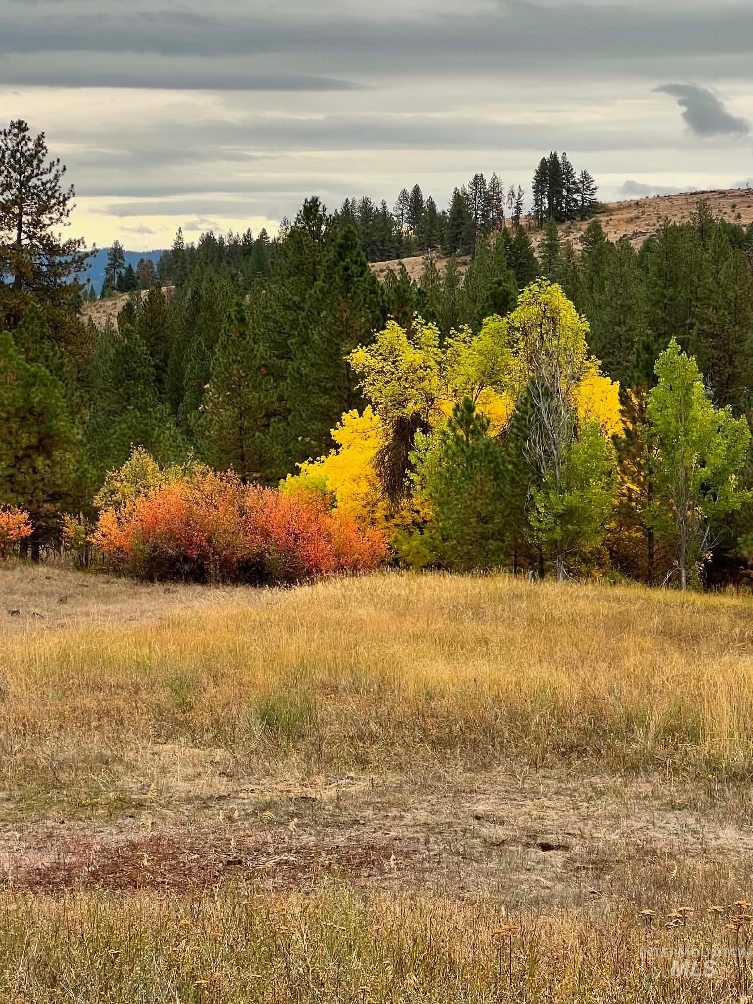 1824 Pole Creek Rd., Council, Idaho 83612, Land For Sale, Price $665,000, 99002505