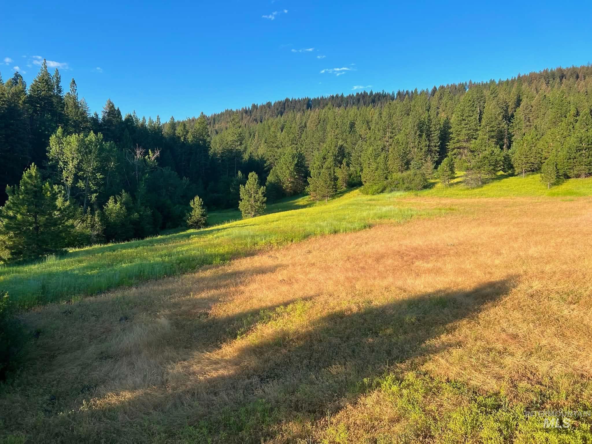 1824 Pole Creek Rd., Council, Idaho 83612, Land For Sale, Price $665,000, 99002505