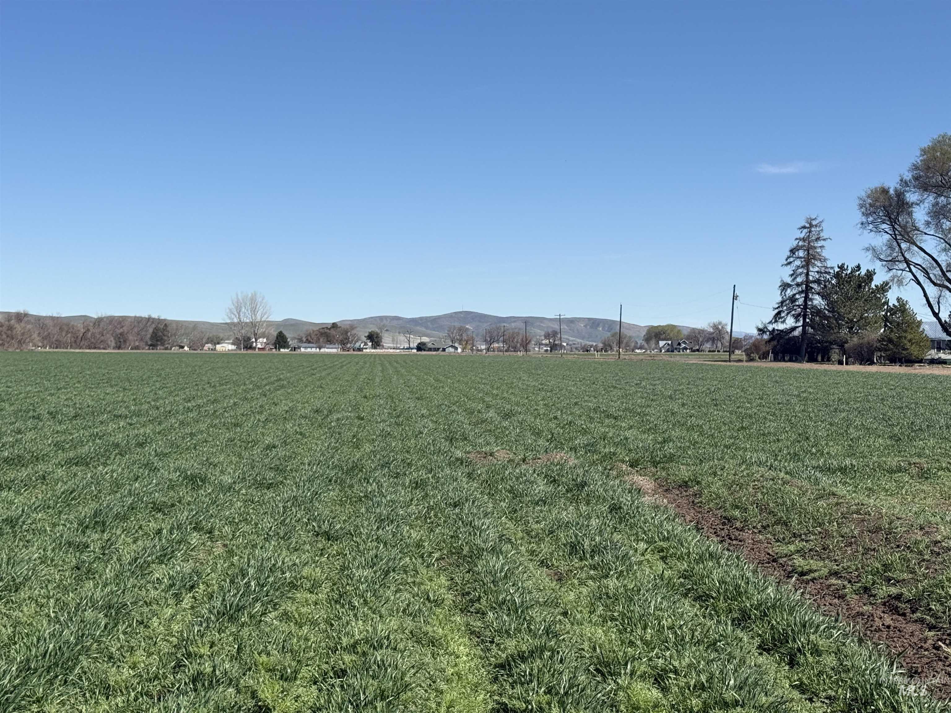 TBD Ferrel, Weiser, Idaho 83672, Land For Sale, Price $229,000,MLS 99002511