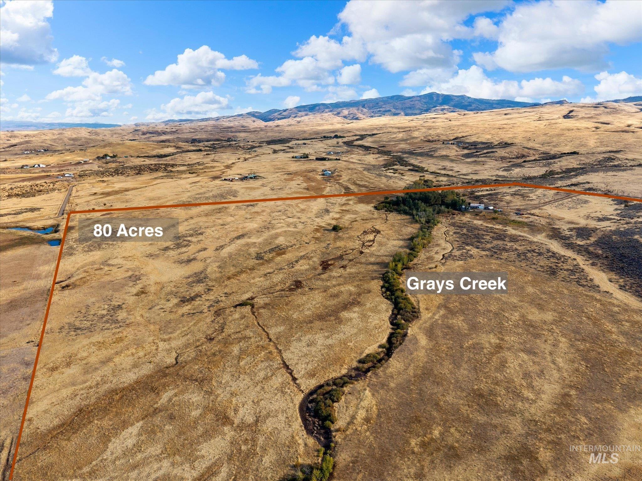 1009 Grays Creek Rd., Indian Valley, Idaho 83612, 5 Bedrooms, 3 Bathrooms, Farm & Ranch For Sale, Price $1,200,000,MLS 99002525