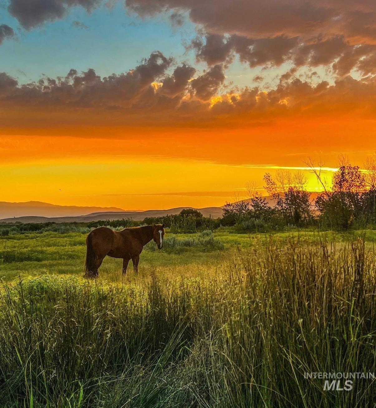 1009 Grays Creek Rd., Indian Valley, Idaho 83612, 5 Bedrooms, 3 Bathrooms, Farm & Ranch For Sale, Price $1,200,000,MLS 99002525