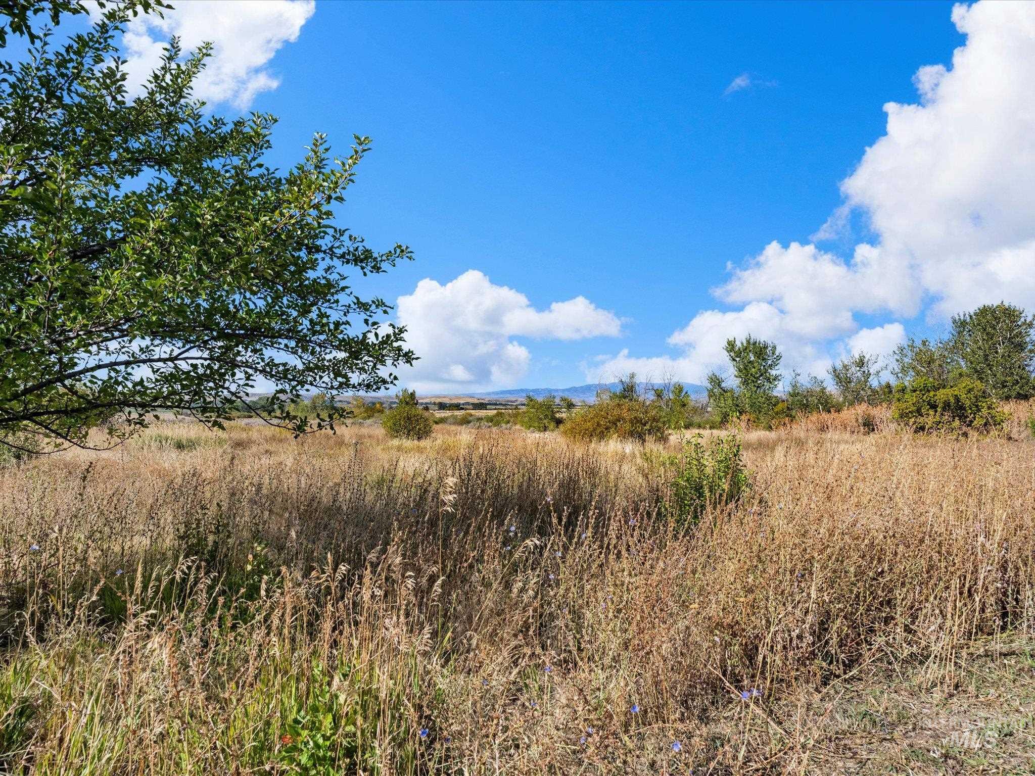 1009 Grays Creek Rd., Indian Valley, Idaho 83612, 5 Bedrooms, 3 Bathrooms, Farm & Ranch For Sale, Price $1,200,000,MLS 99002525