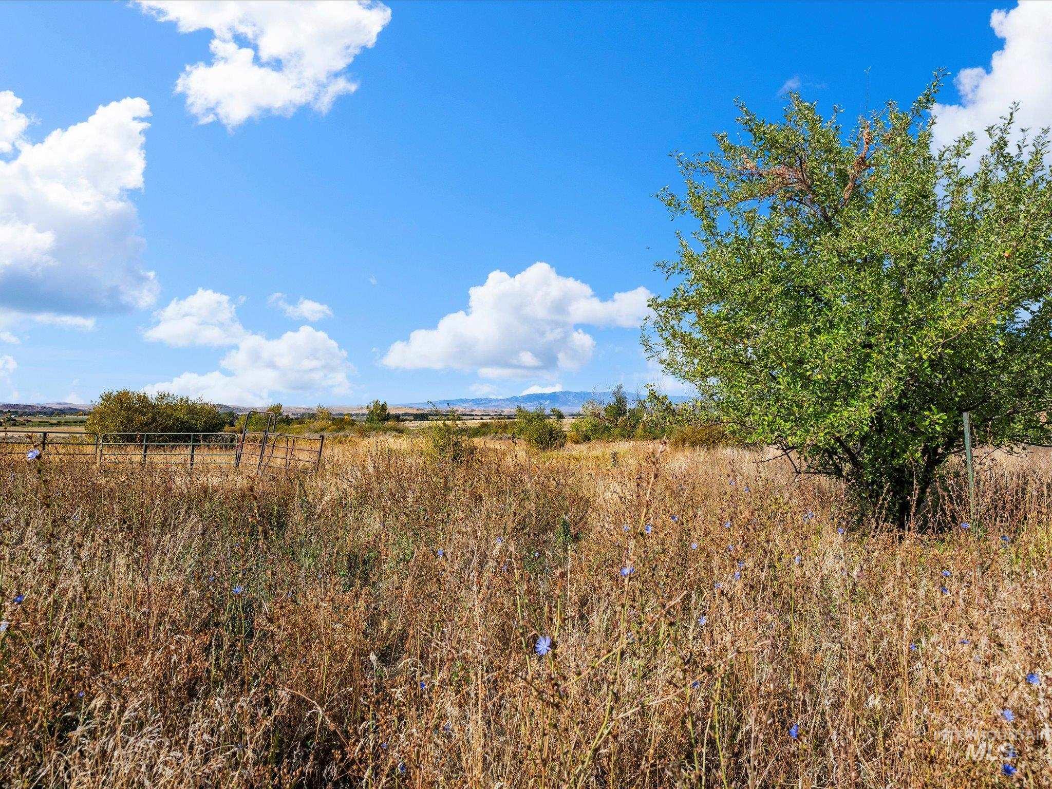 1009 Grays Creek Rd., Indian Valley, Idaho 83612, 5 Bedrooms, 3 Bathrooms, Farm & Ranch For Sale, Price $1,200,000,MLS 99002525