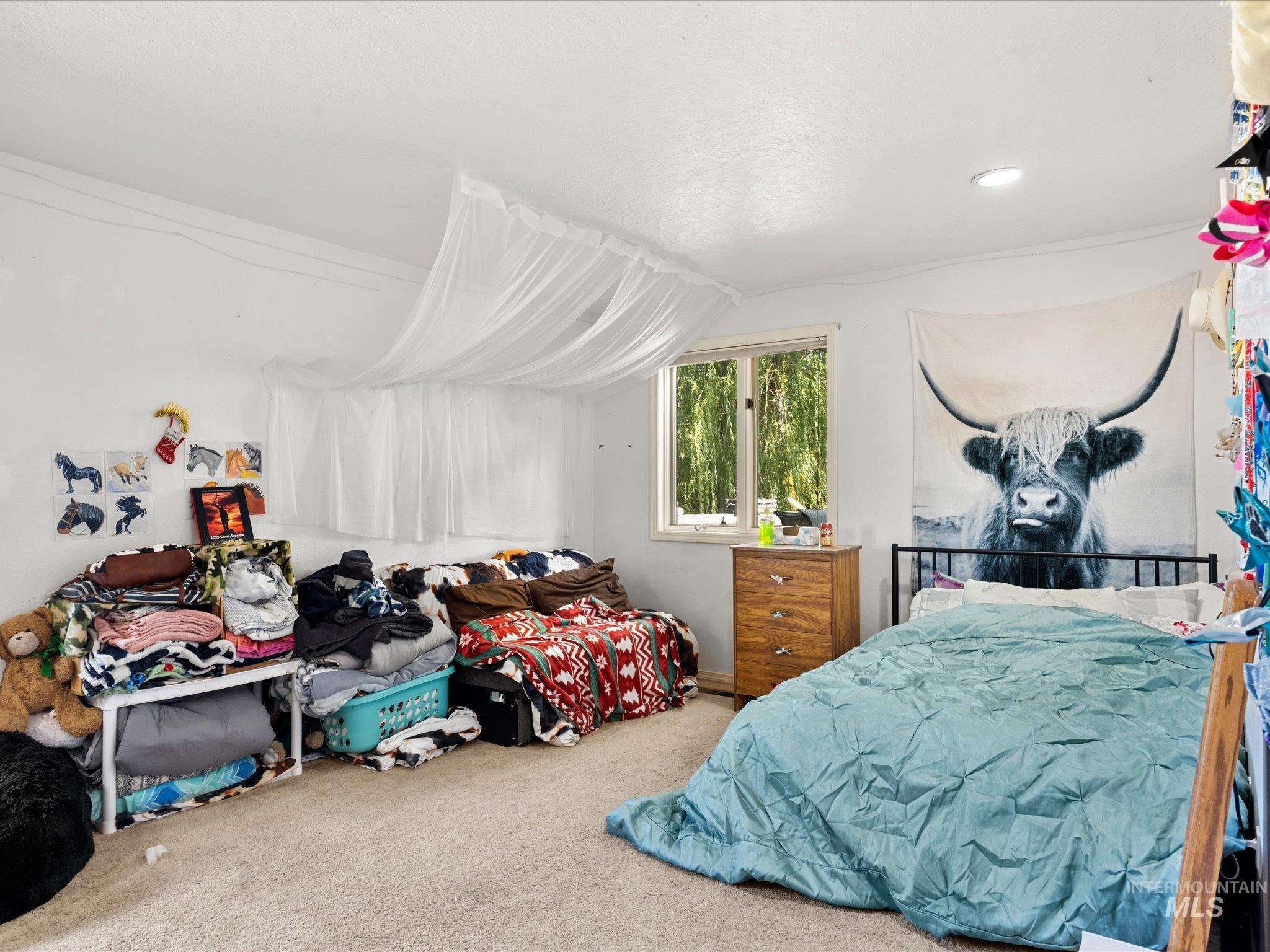1009 Grays Creek Rd., Indian Valley, Idaho 83612, 5 Bedrooms, 3 Bathrooms, Farm & Ranch For Sale, Price $1,200,000,MLS 99002525