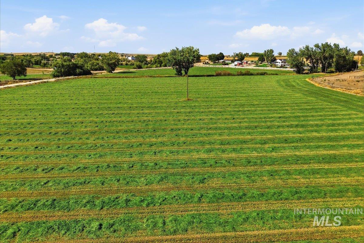 16921 Oasis Rd, Caldwell, Idaho 83607, 4 Bedrooms, 3.5 Bathrooms, Farm & Ranch For Sale, Price $1,400,000,MLS 99002526