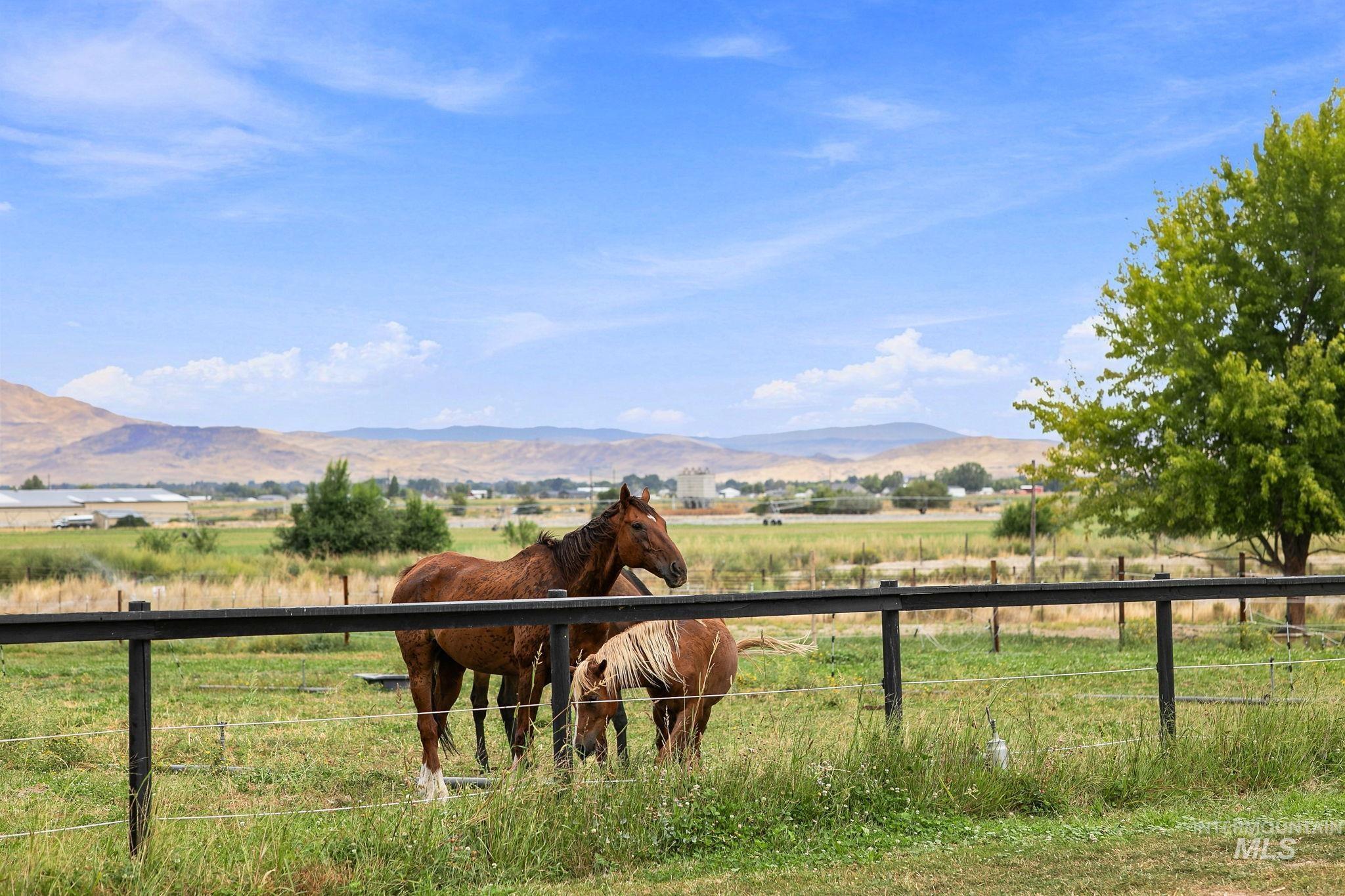 3817 Star Ln, Emmett, Idaho 83617, 4 Bedrooms, 3 Bathrooms, Residential For Sale, Price $399,000, 99002579