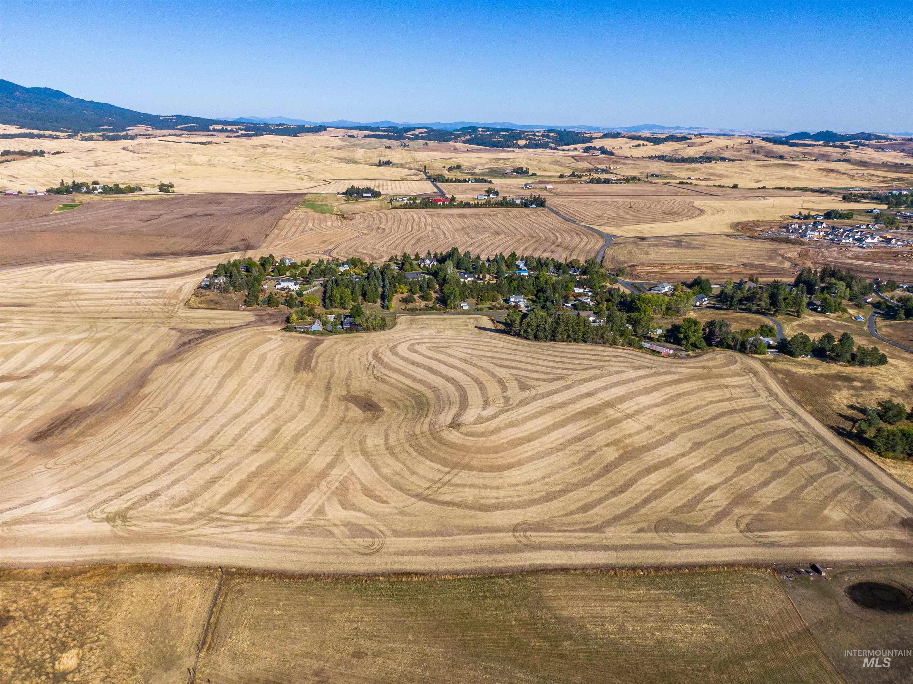 000 Orchard Ave, Moscow, Idaho 83843, Land For Sale, Price $2,900,000,MLS 99002602