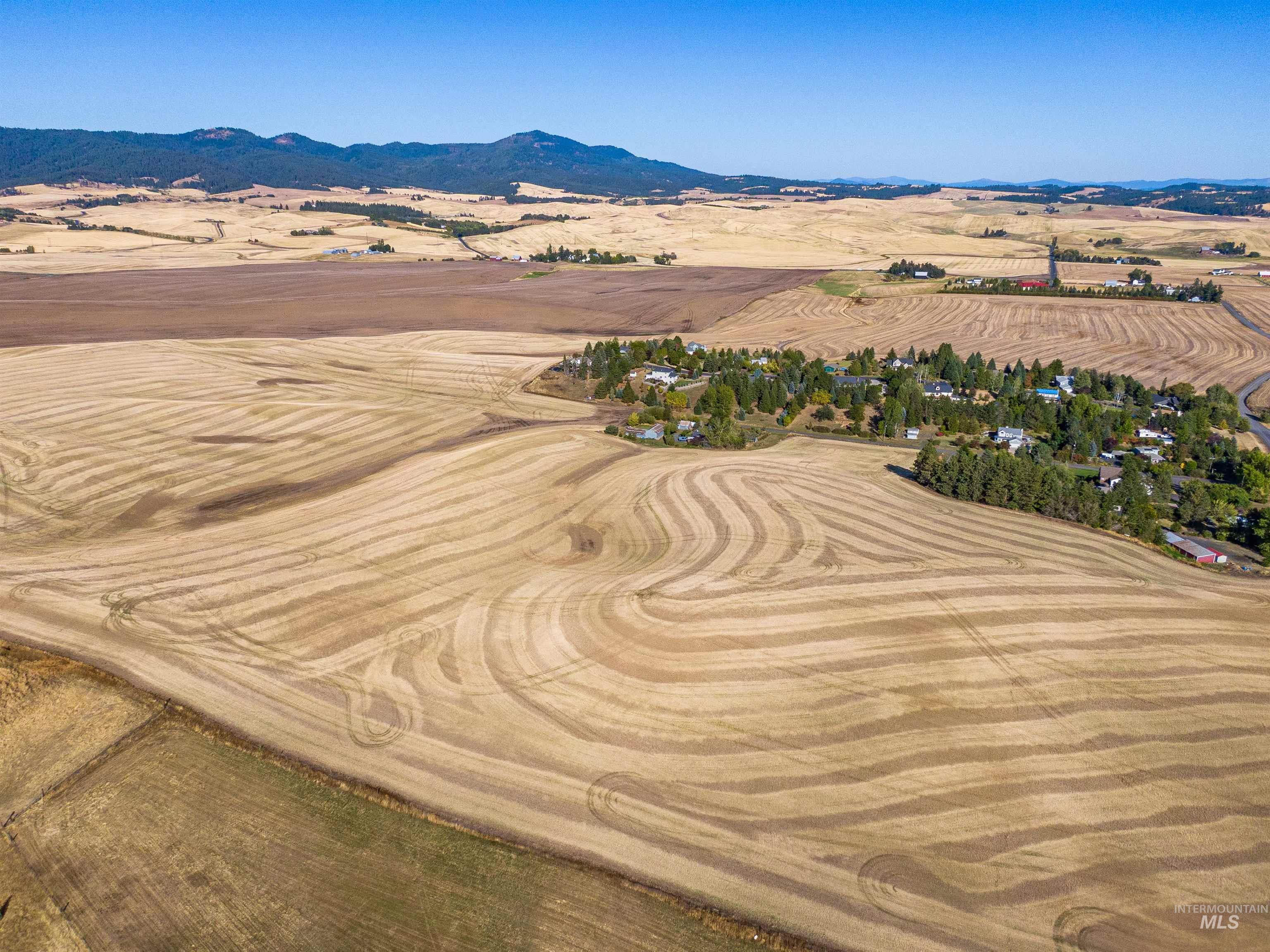 000 Orchard Ave, Moscow, Idaho 83843, Land For Sale, Price $2,900,000,MLS 99002602