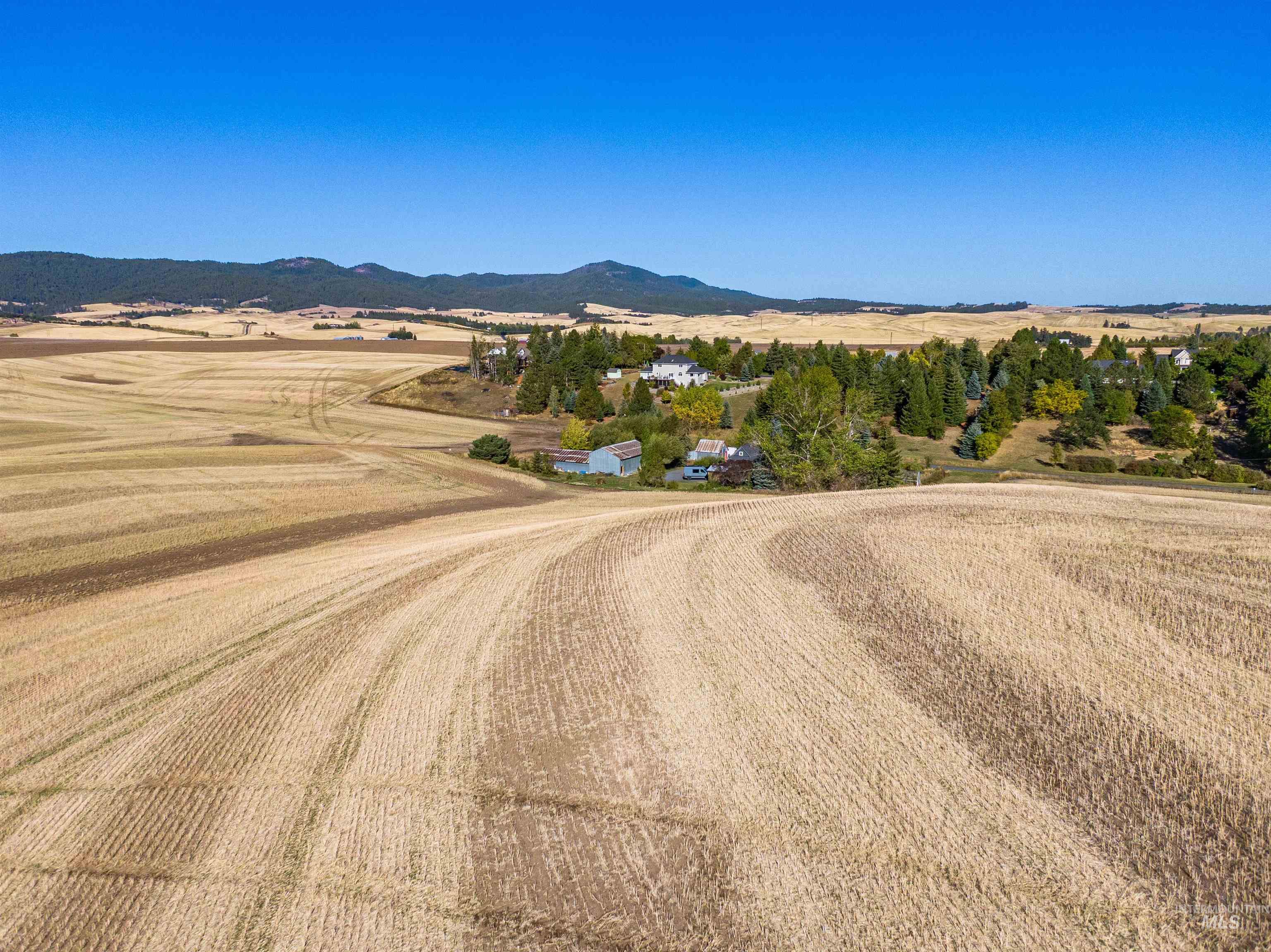 000 Orchard Ave, Moscow, Idaho 83843, Land For Sale, Price $2,900,000,MLS 99002602