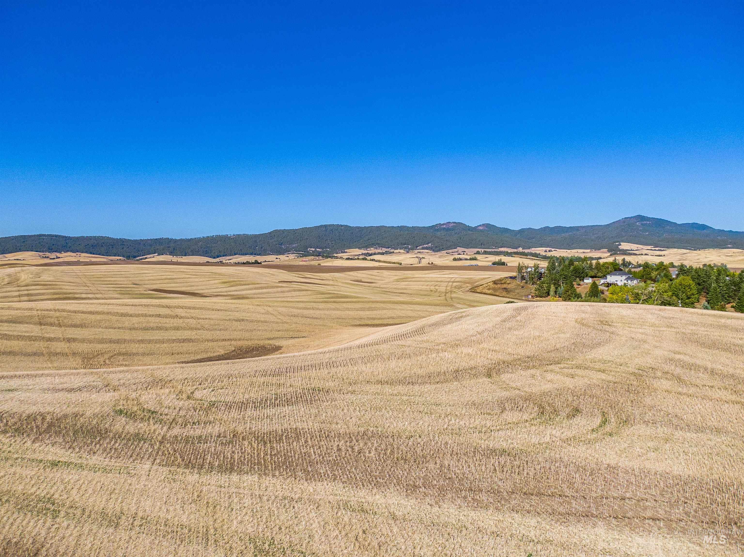 000 Orchard Ave, Moscow, Idaho 83843, Land For Sale, Price $2,900,000,MLS 99002602