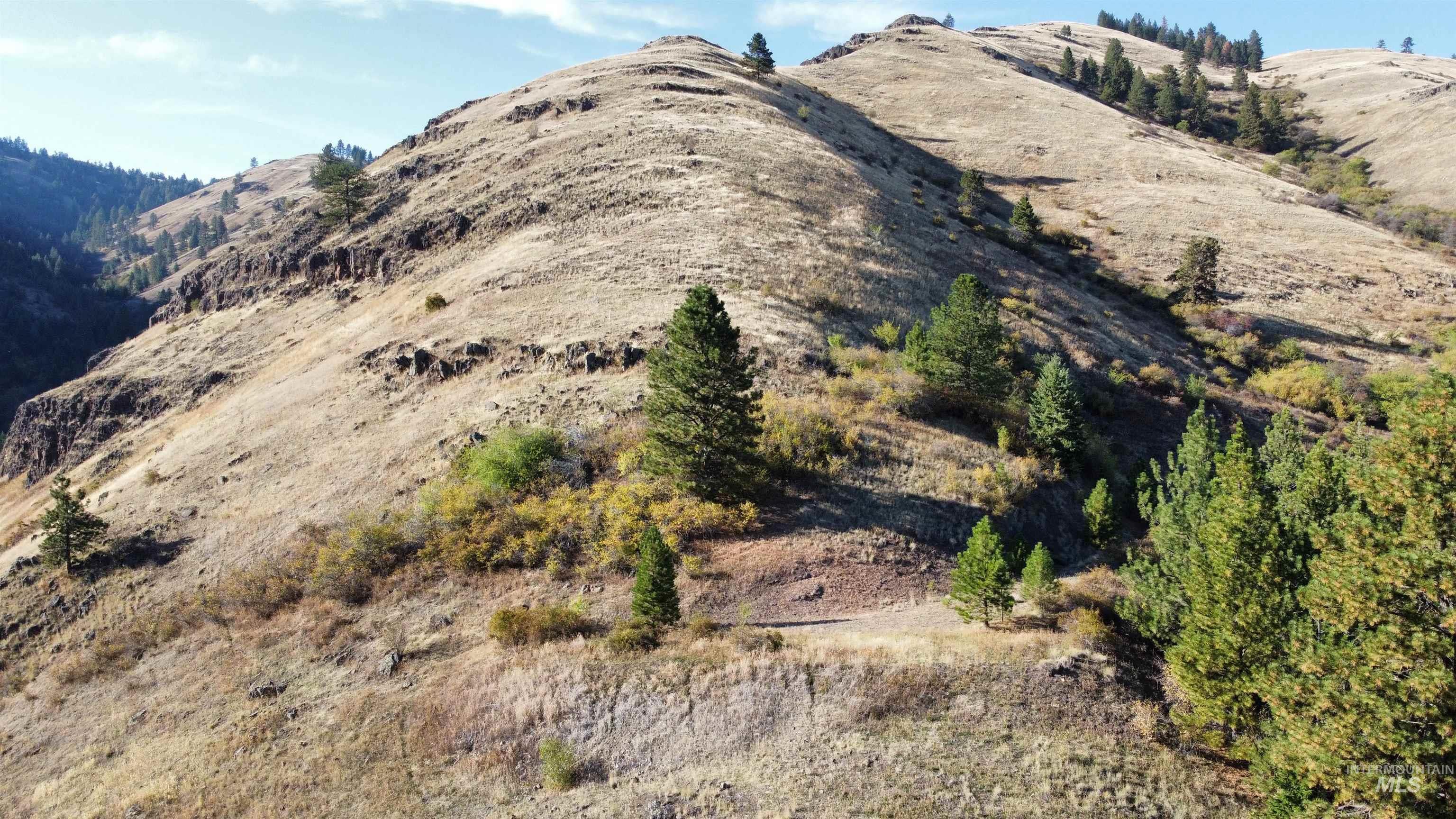 TBD Big Canyon Road, White Bird, Idaho 83554, Land For Sale, Price $399,000, 99002787
