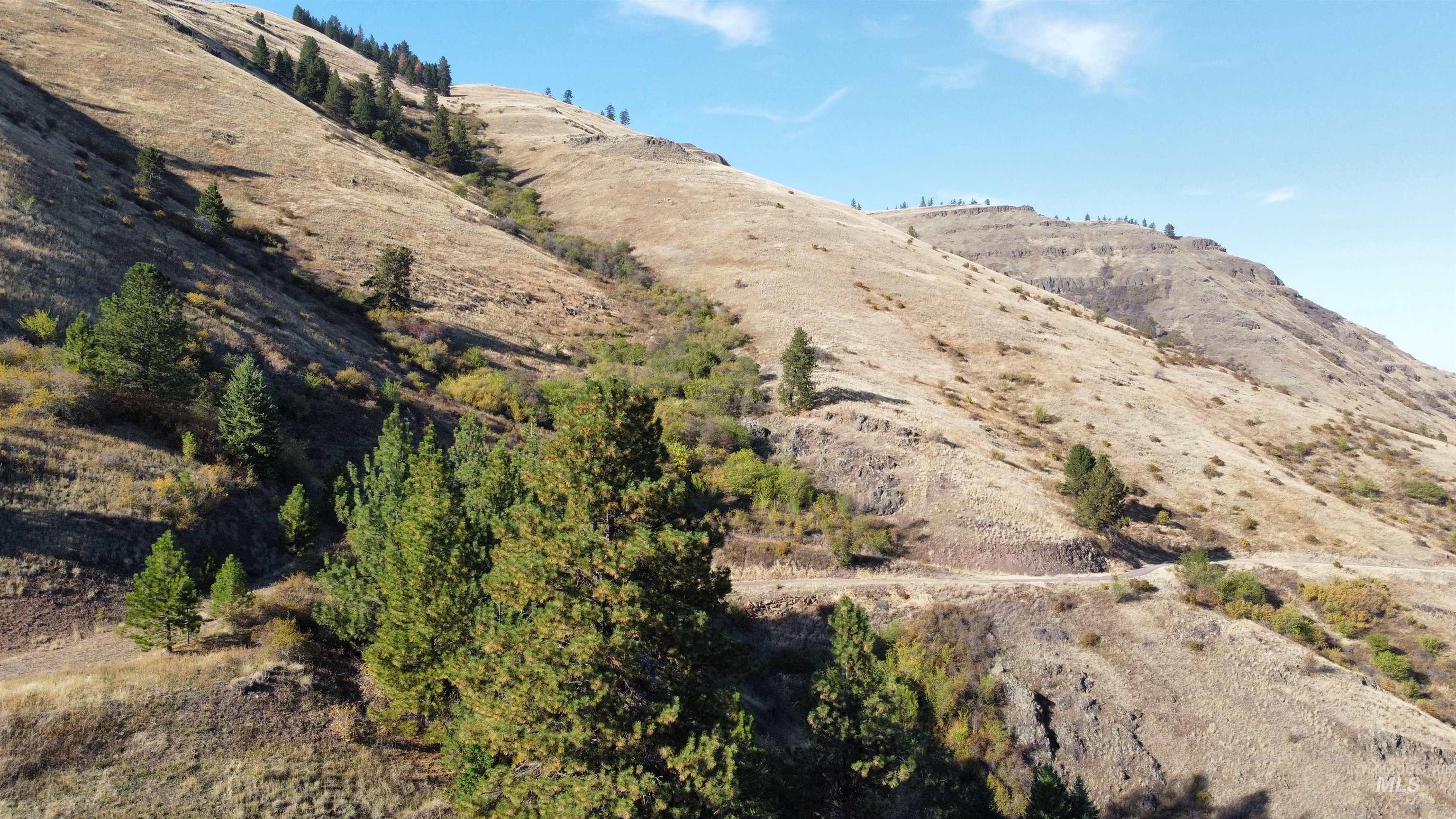 TBD Big Canyon Road, White Bird, Idaho 83554, Land For Sale, Price $399,000, 99002787