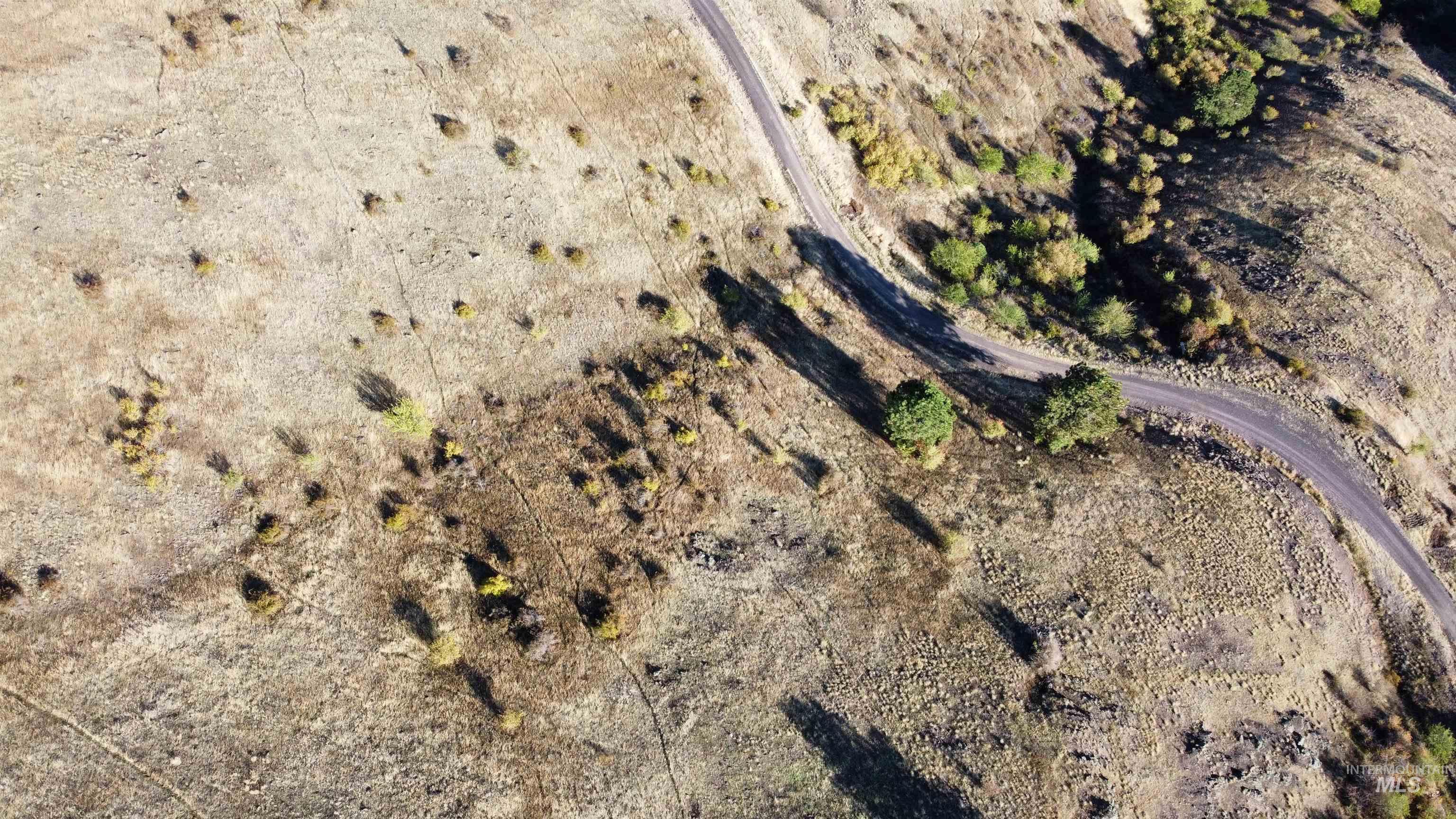 TBD Big Canyon Road, White Bird, Idaho 83554, Land For Sale, Price $399,000, 99002787
