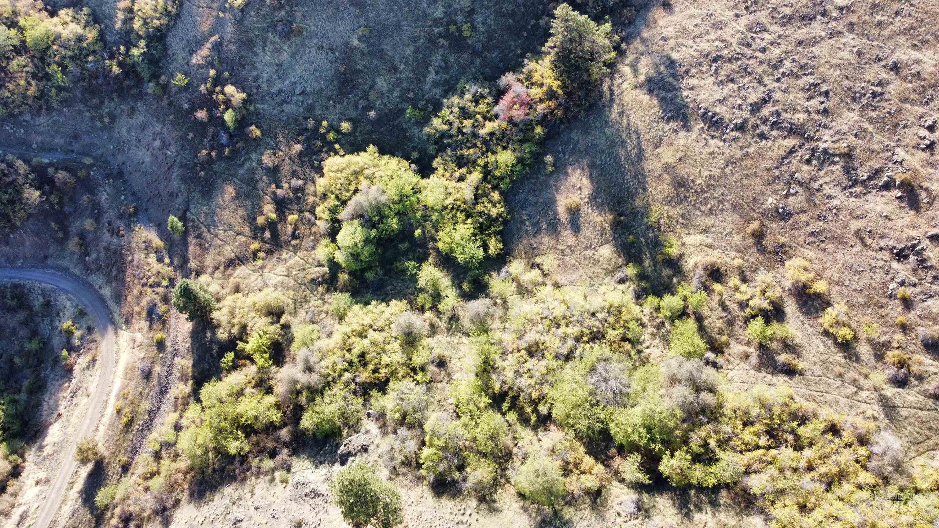 TBD Big Canyon Road, White Bird, Idaho 83554, Land For Sale, Price $399,000, 99002787