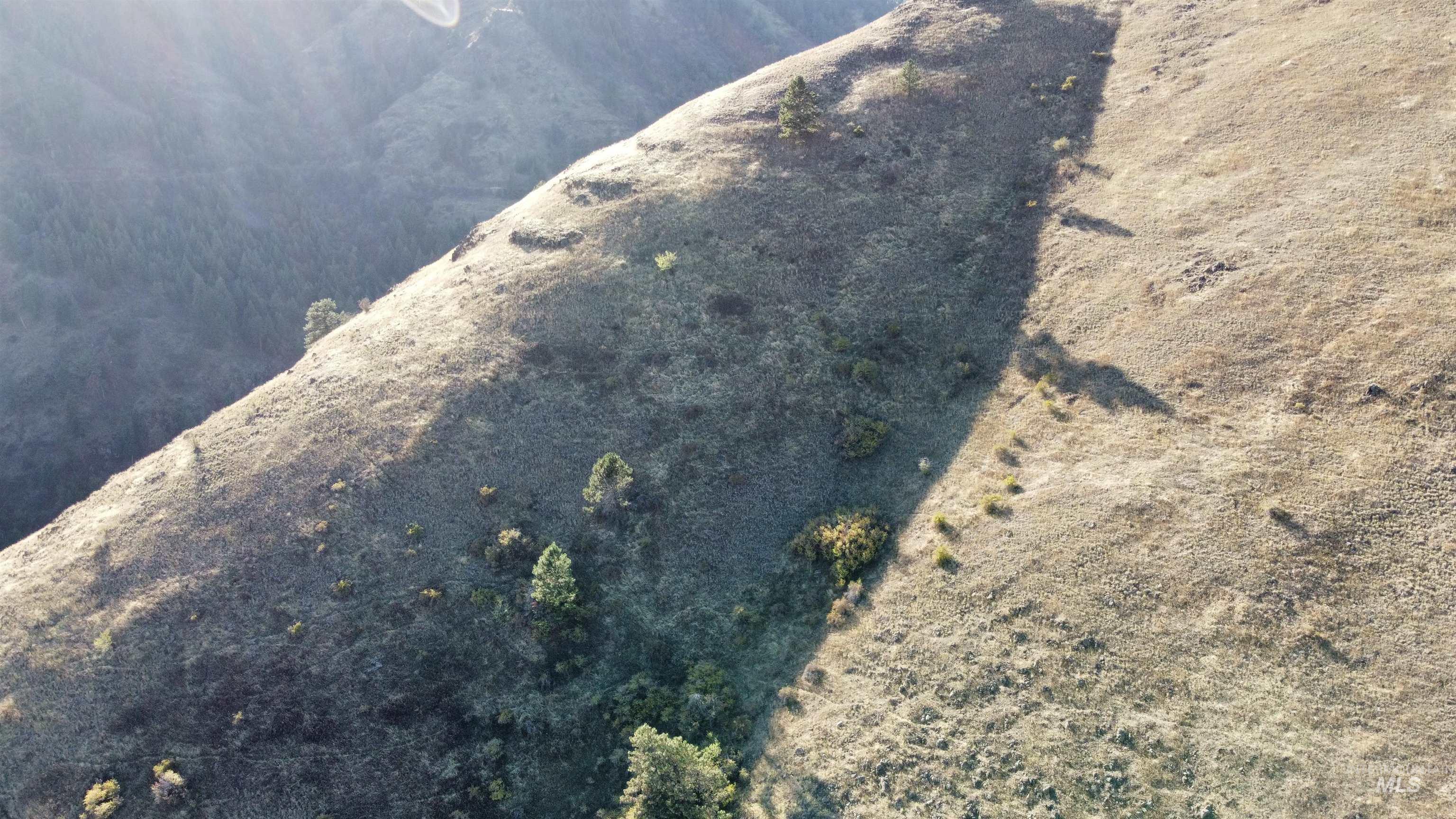 TBD Big Canyon Road, White Bird, Idaho 83554, Land For Sale, Price $399,000, 99002787