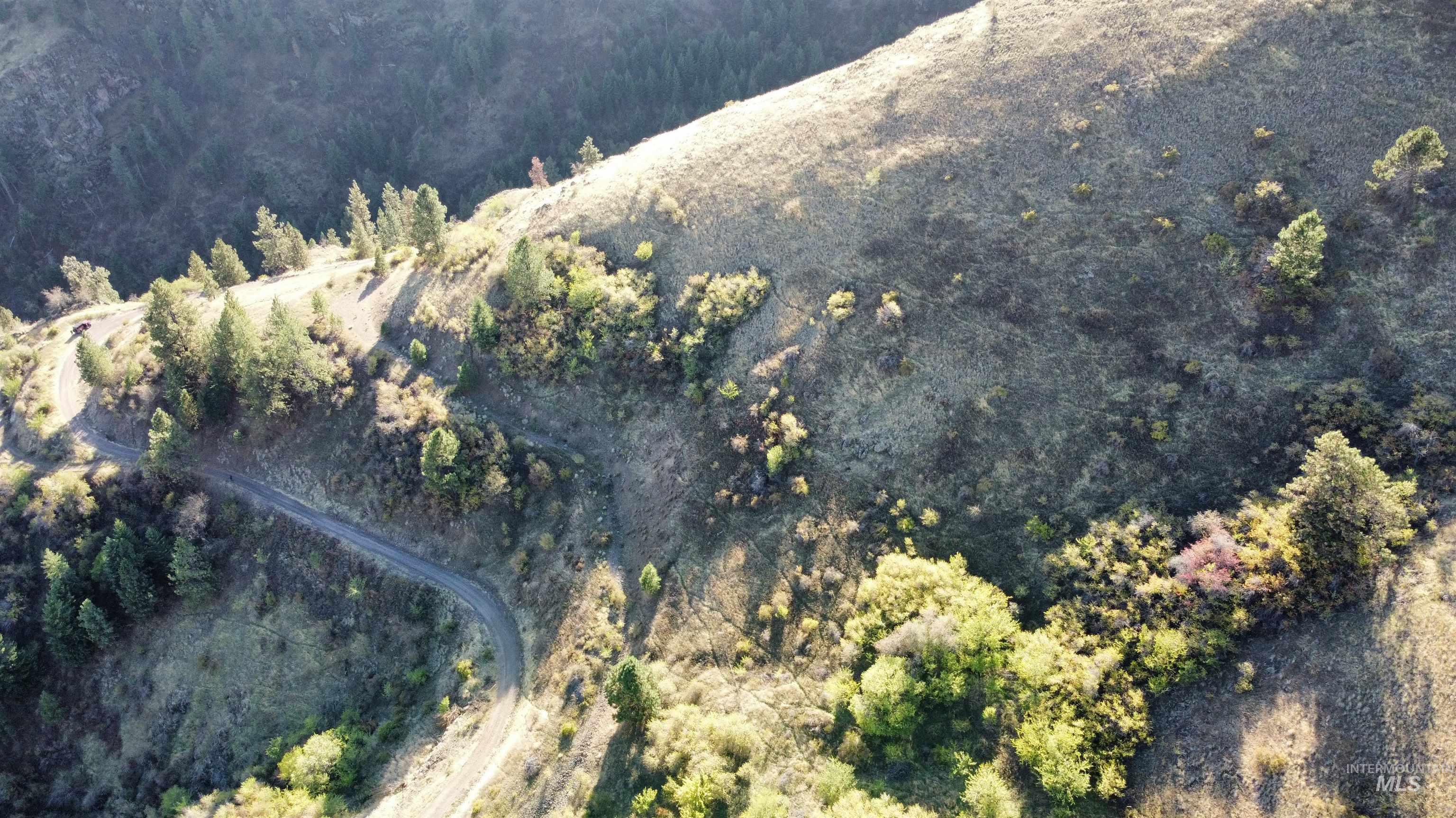 TBD Big Canyon Road, White Bird, Idaho 83554, Land For Sale, Price $399,000, 99002787