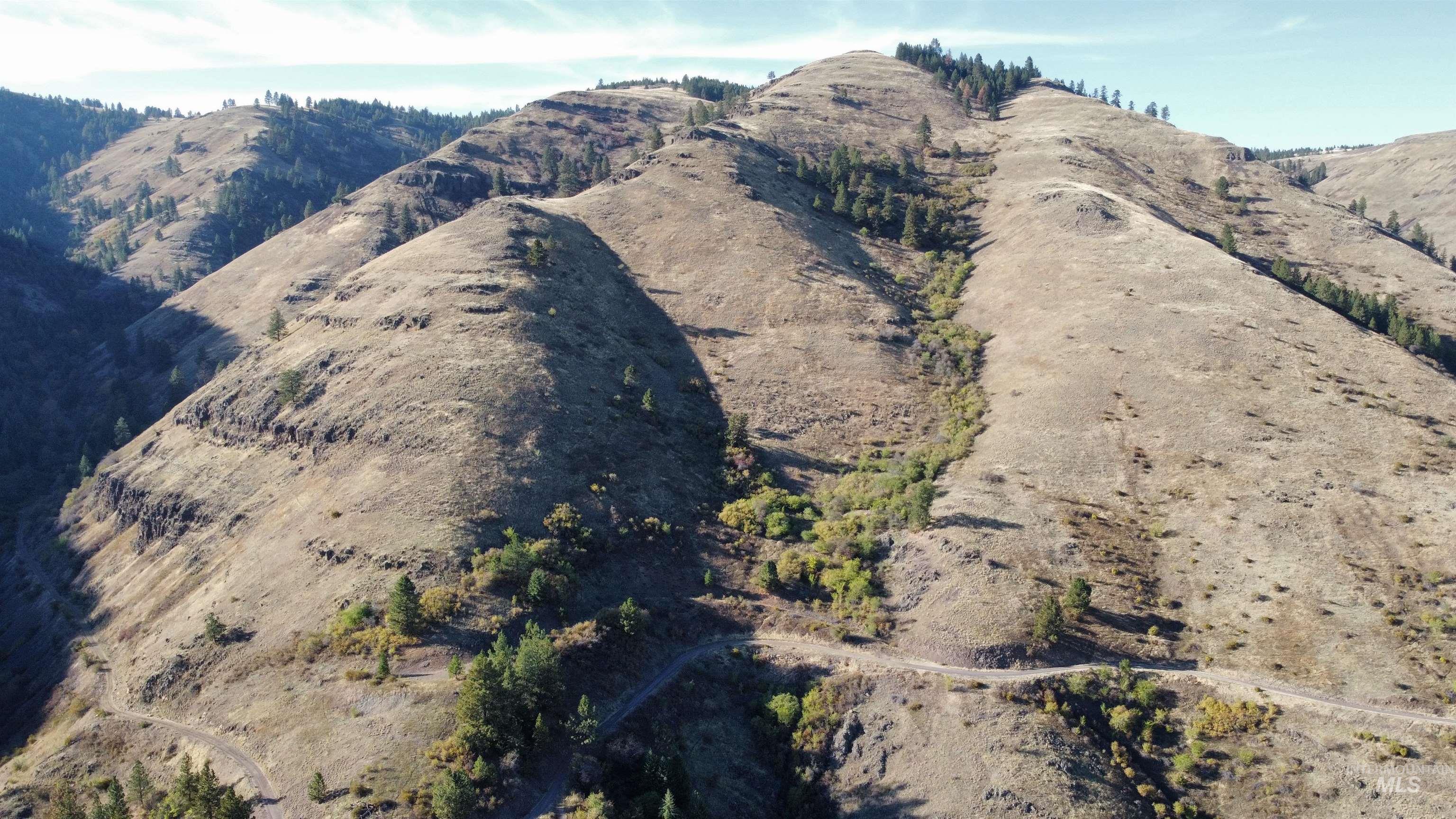 TBD Big Canyon Road, White Bird, Idaho 83554, Land For Sale, Price $399,000, 99002787