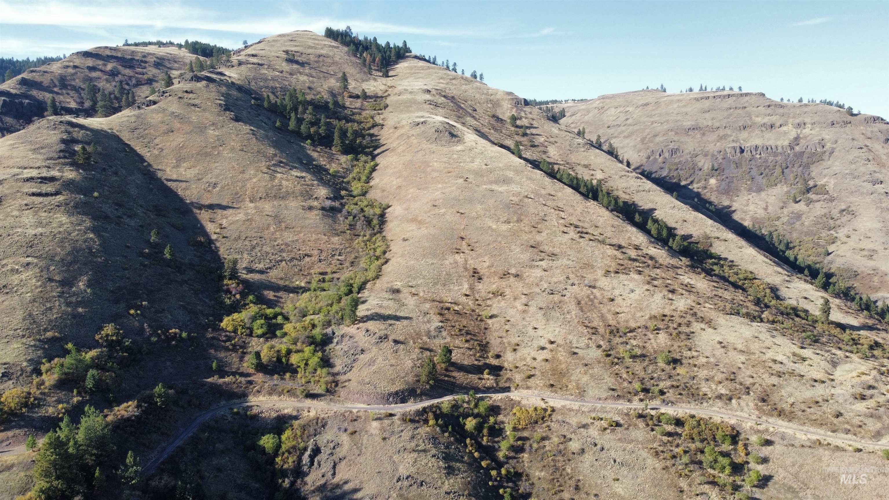 TBD Big Canyon Road, White Bird, Idaho 83554, Land For Sale, Price $399,000, 99002787