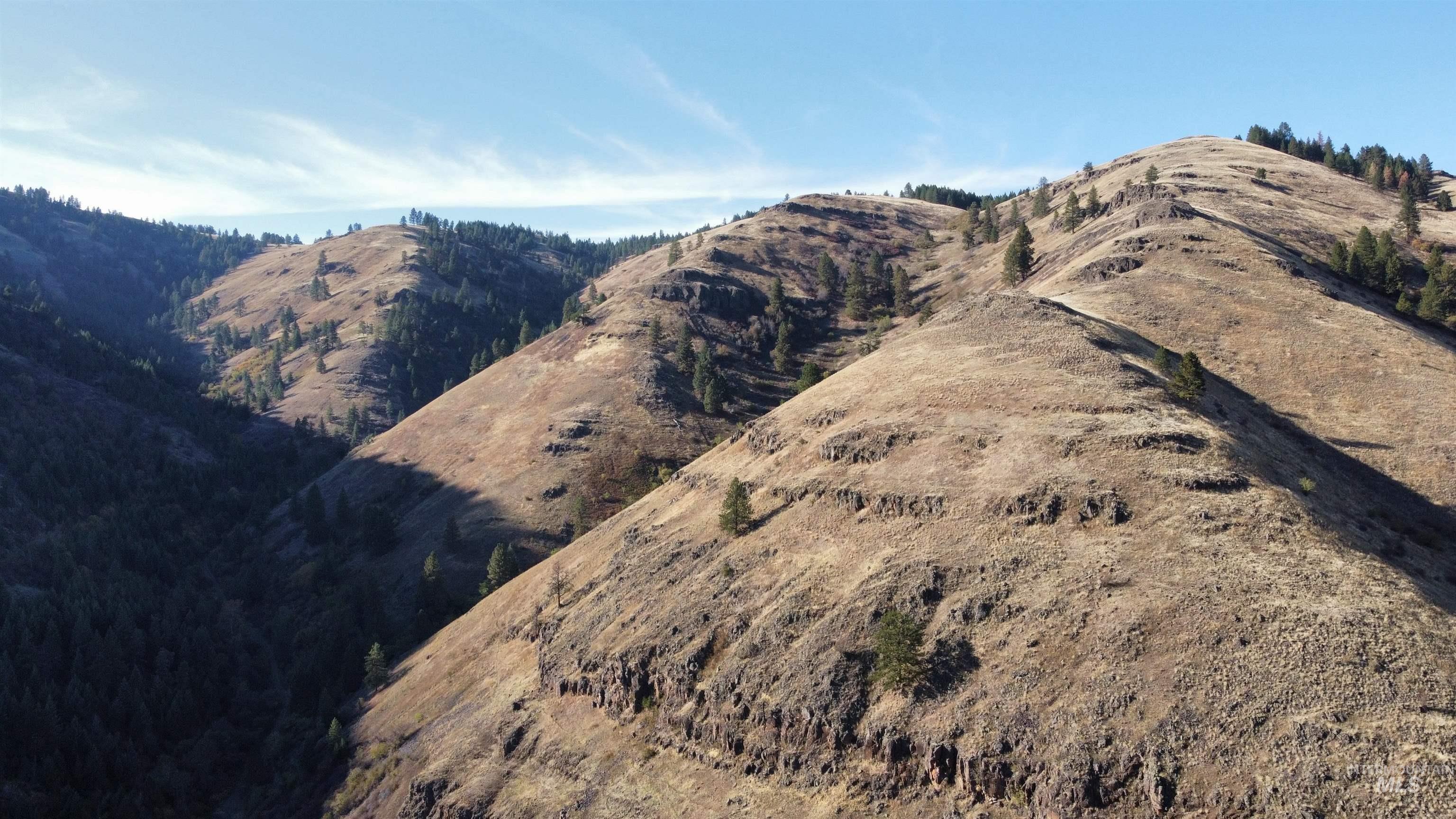 TBD Big Canyon Road, White Bird, Idaho 83554, Land For Sale, Price $399,000, 99002787