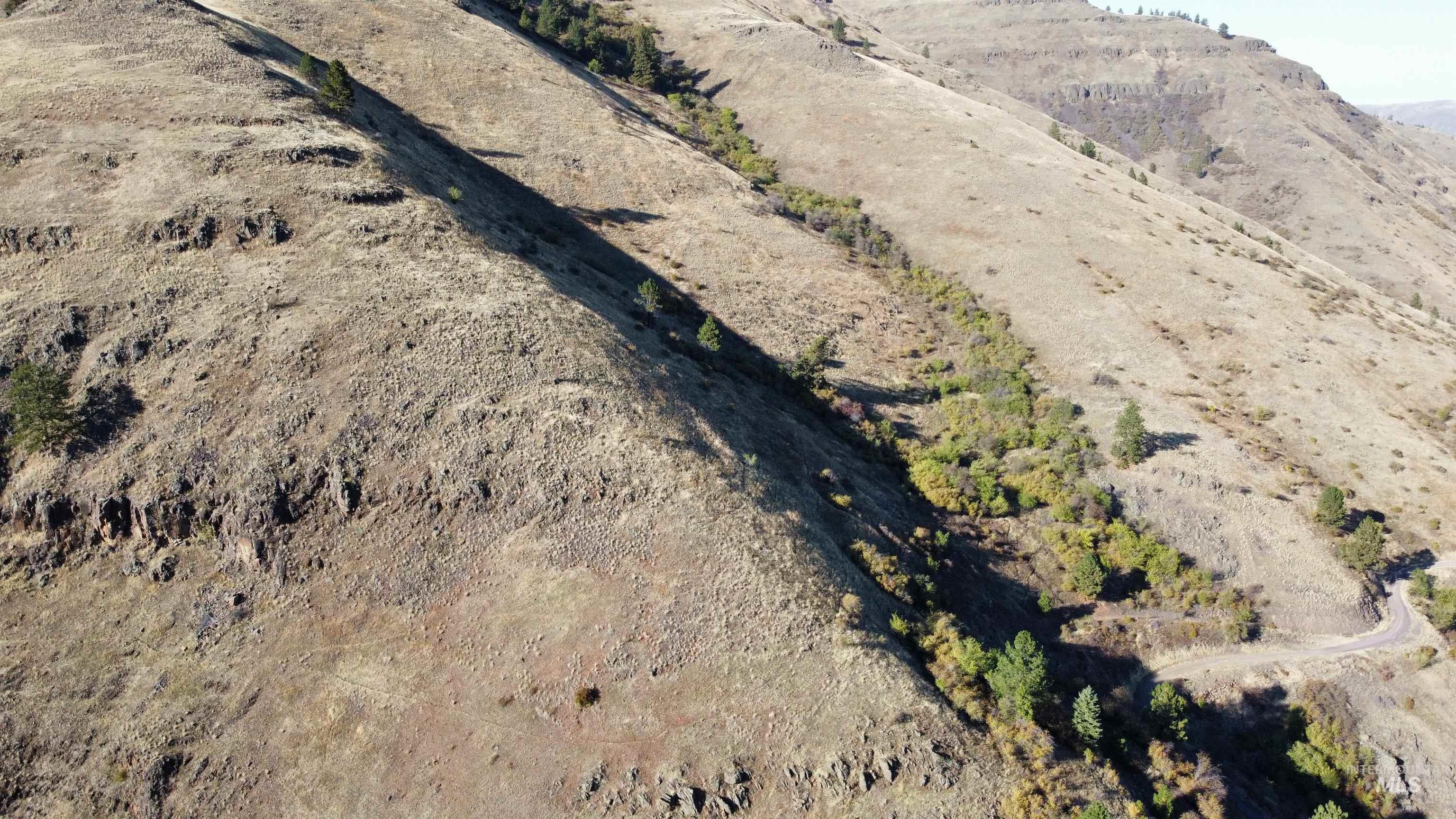 TBD Big Canyon Road, White Bird, Idaho 83554, Land For Sale, Price $399,000, 99002787