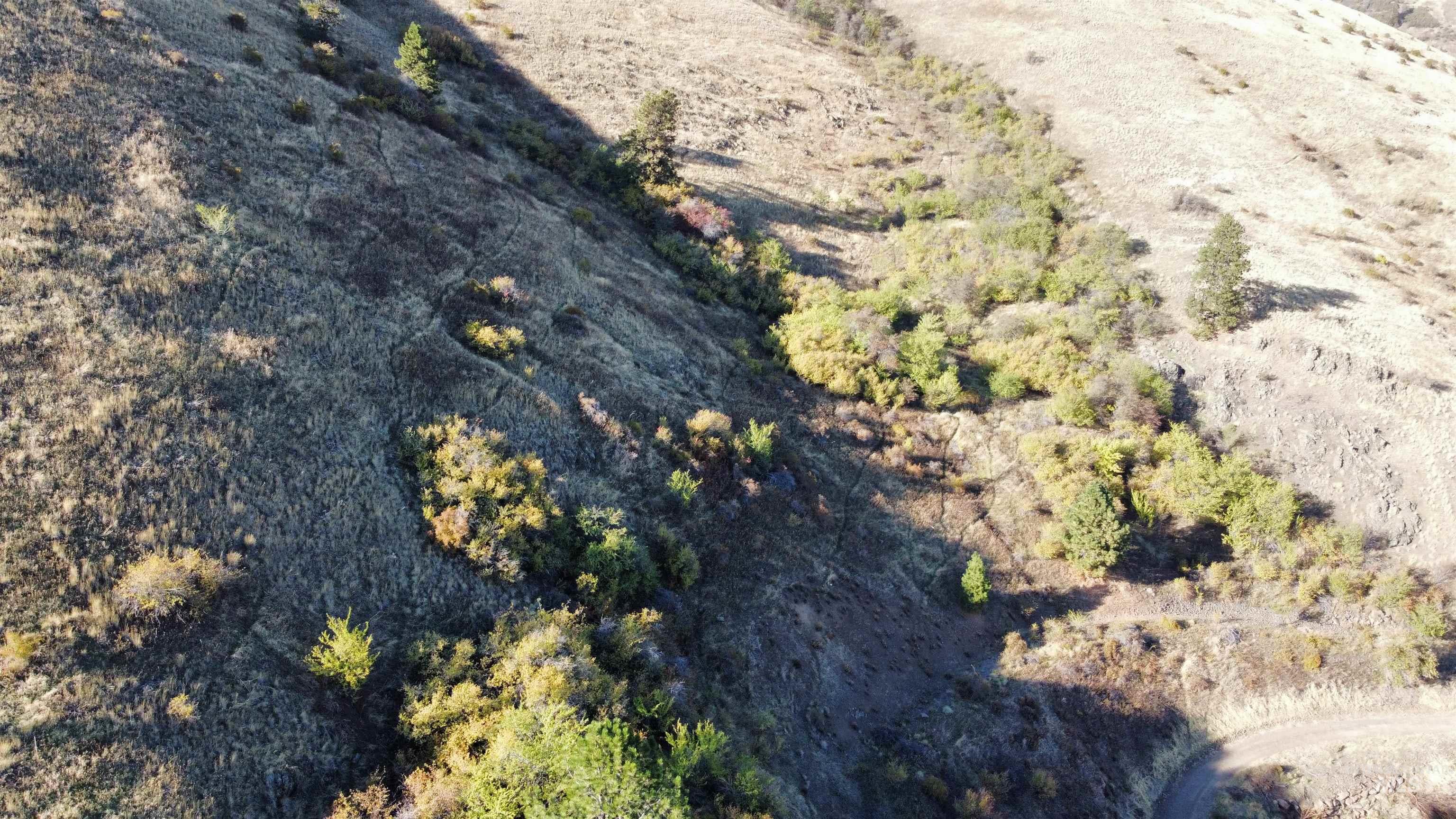 TBD Big Canyon Road, White Bird, Idaho 83554, Land For Sale, Price $399,000, 99002787