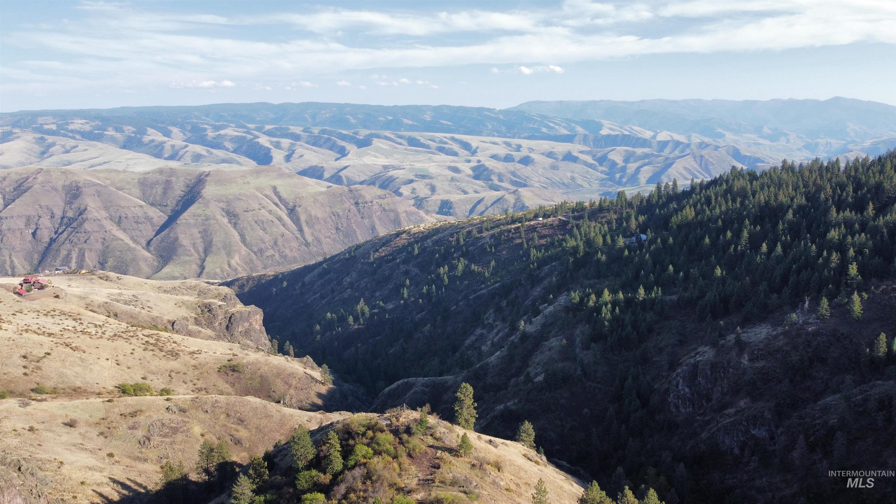 TBD Big Canyon Road, White Bird, Idaho 83554, Land For Sale, Price $399,000, 99002787