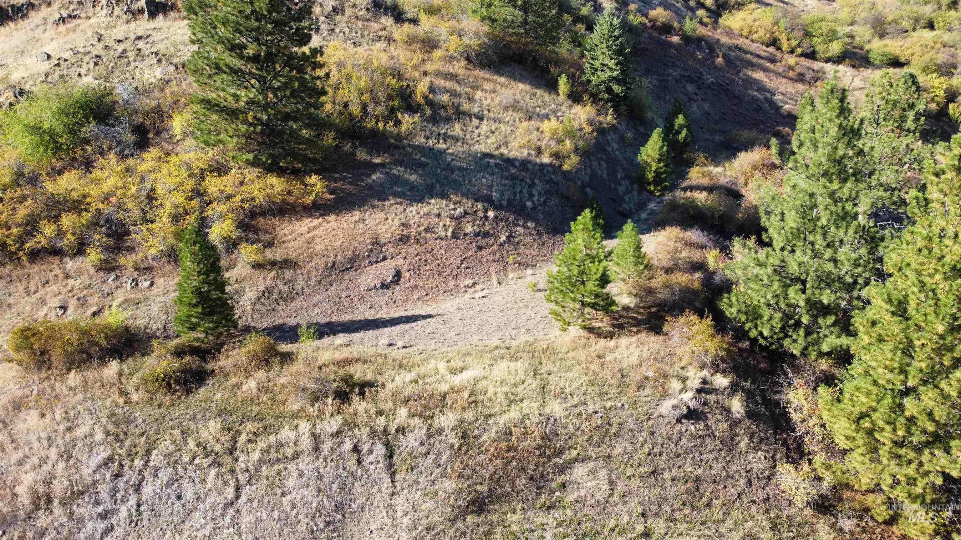 TBD Big Canyon Road, White Bird, Idaho 83554, Land For Sale, Price $399,000, 99002787