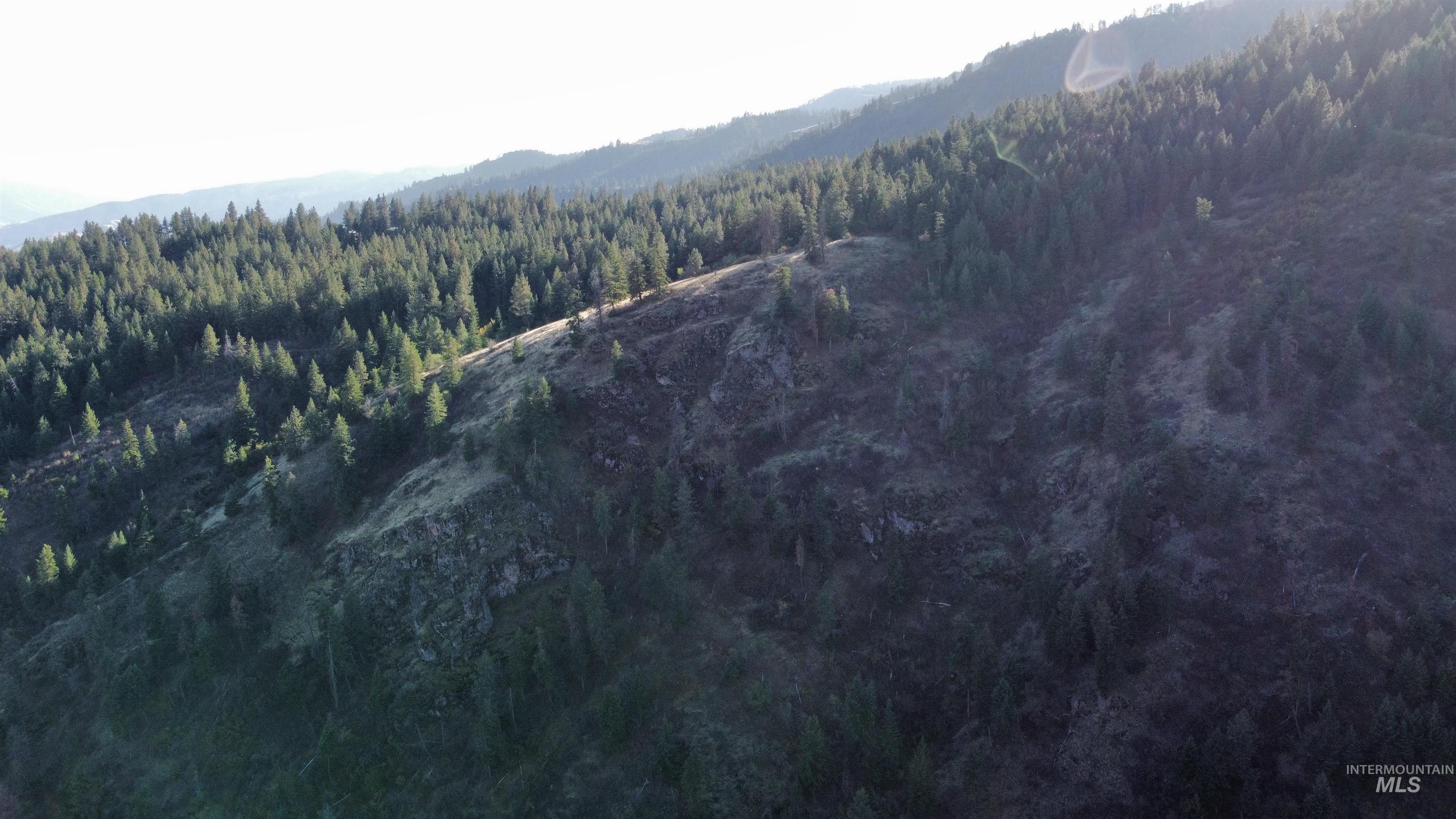 TBD Big Canyon Road, White Bird, Idaho 83554, Land For Sale, Price $399,000, 99002787