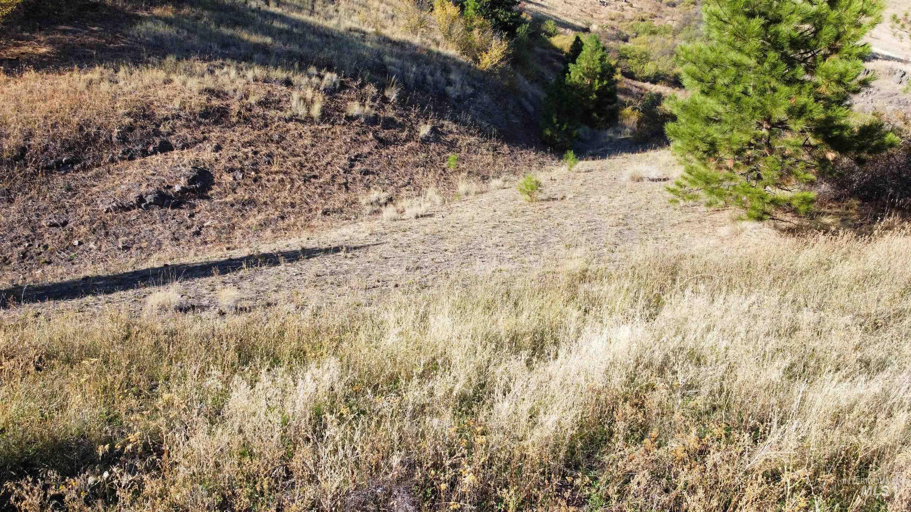 TBD Big Canyon Road, White Bird, Idaho 83554, Land For Sale, Price $399,000, 99002787