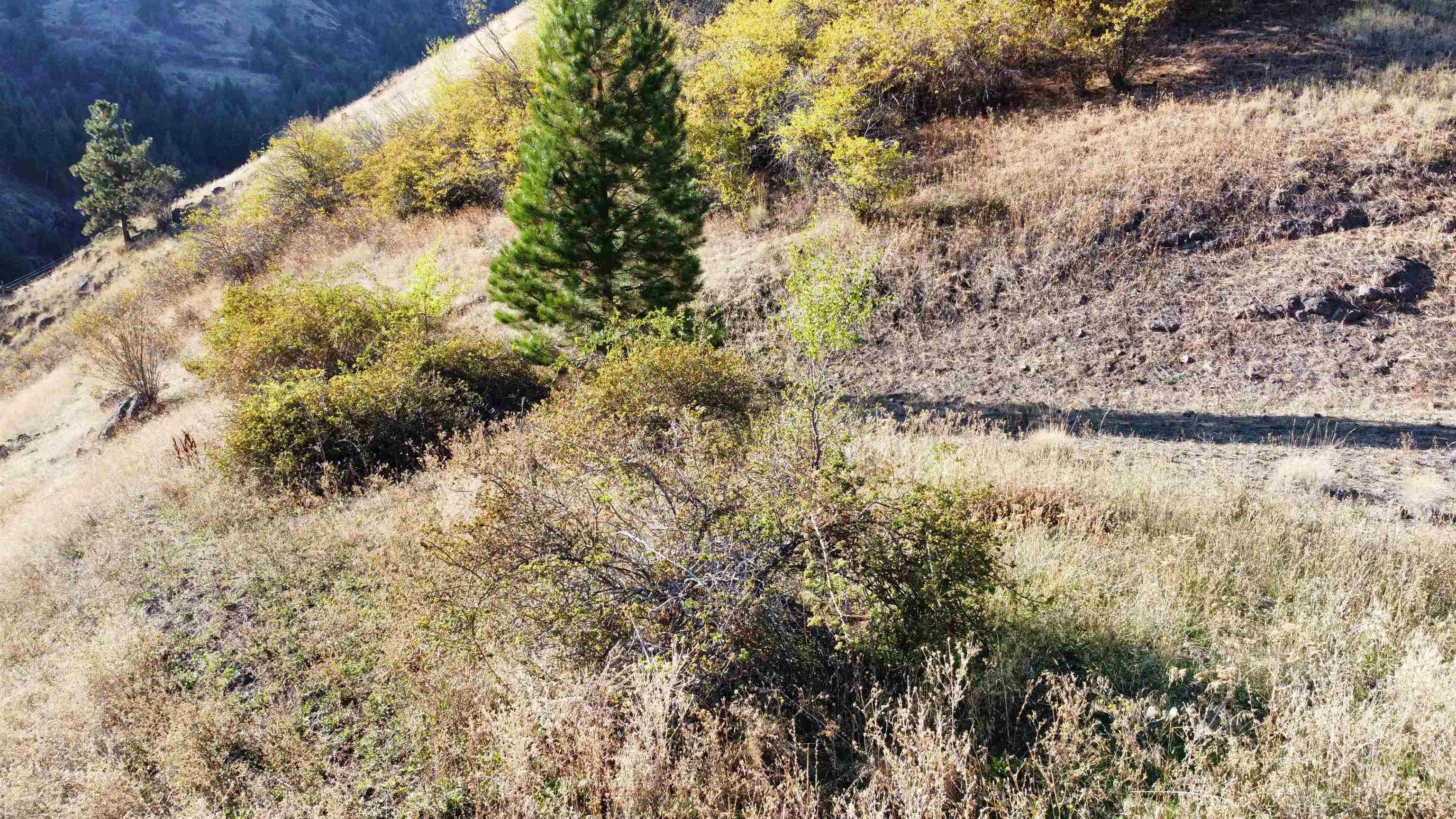 TBD Big Canyon Road, White Bird, Idaho 83554, Land For Sale, Price $399,000, 99002787