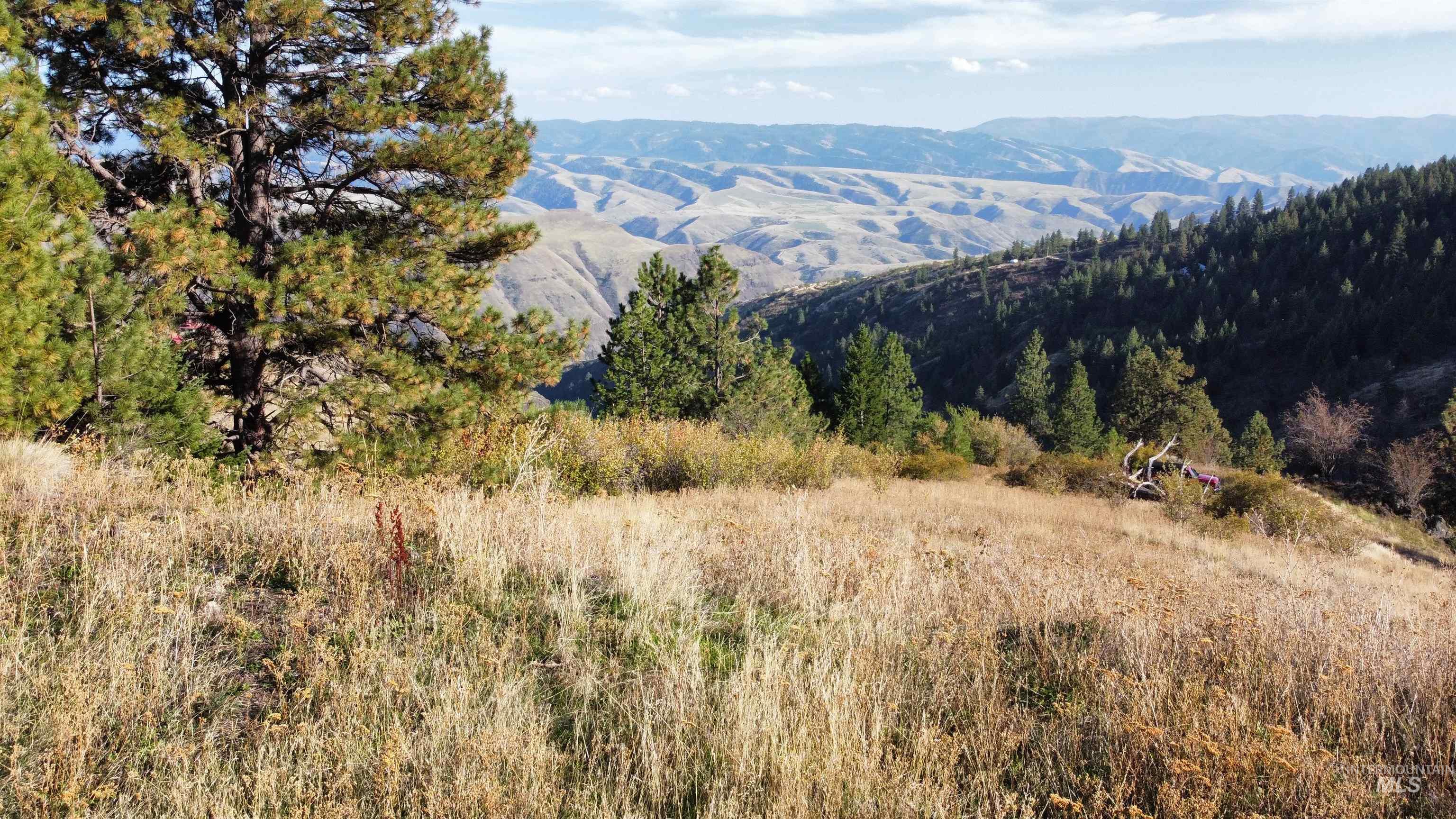 TBD Big Canyon Road, White Bird, Idaho 83554, Land For Sale, Price $399,000, 99002787
