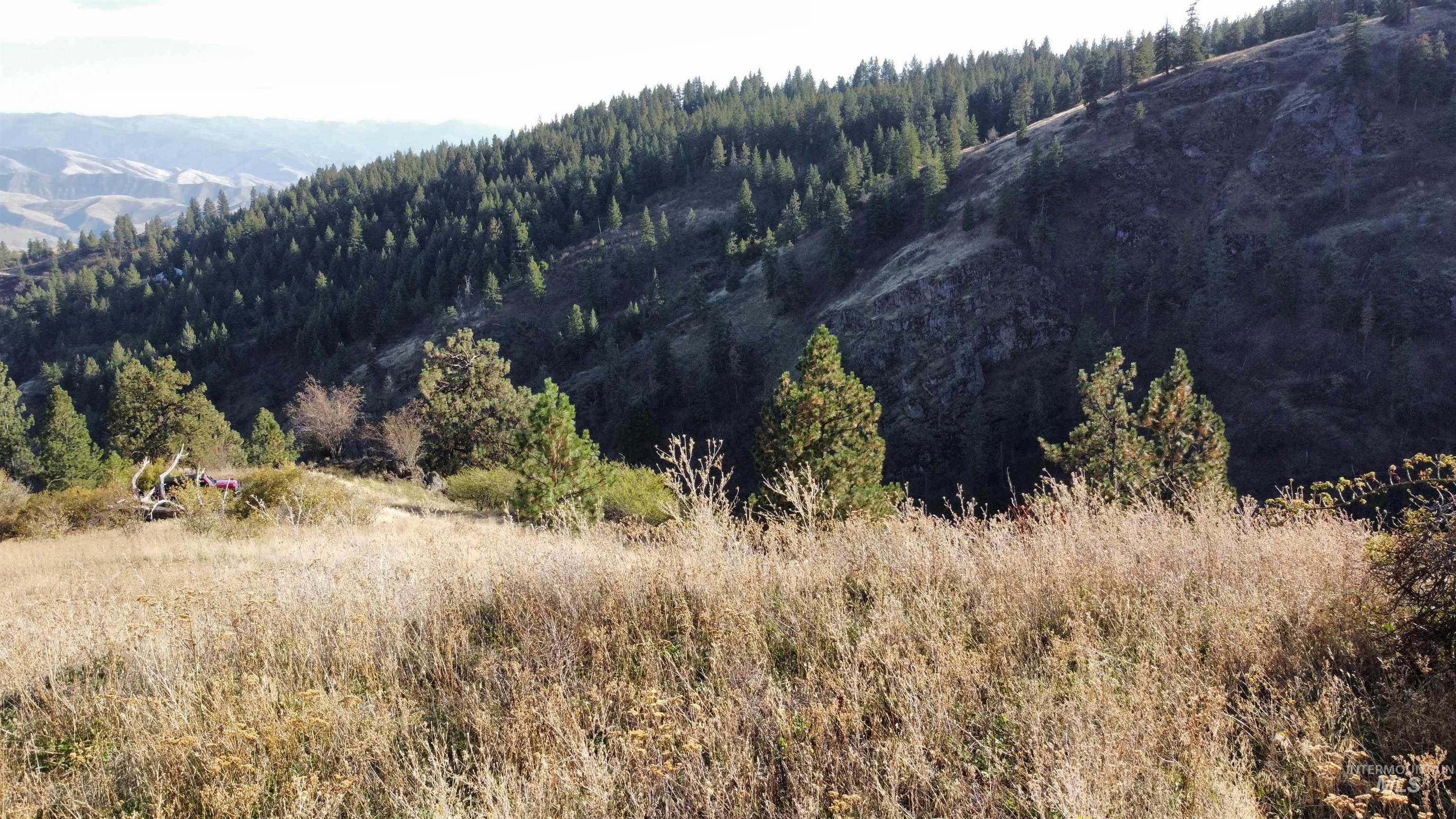 TBD Big Canyon Road, White Bird, Idaho 83554, Land For Sale, Price $399,000, 99002787