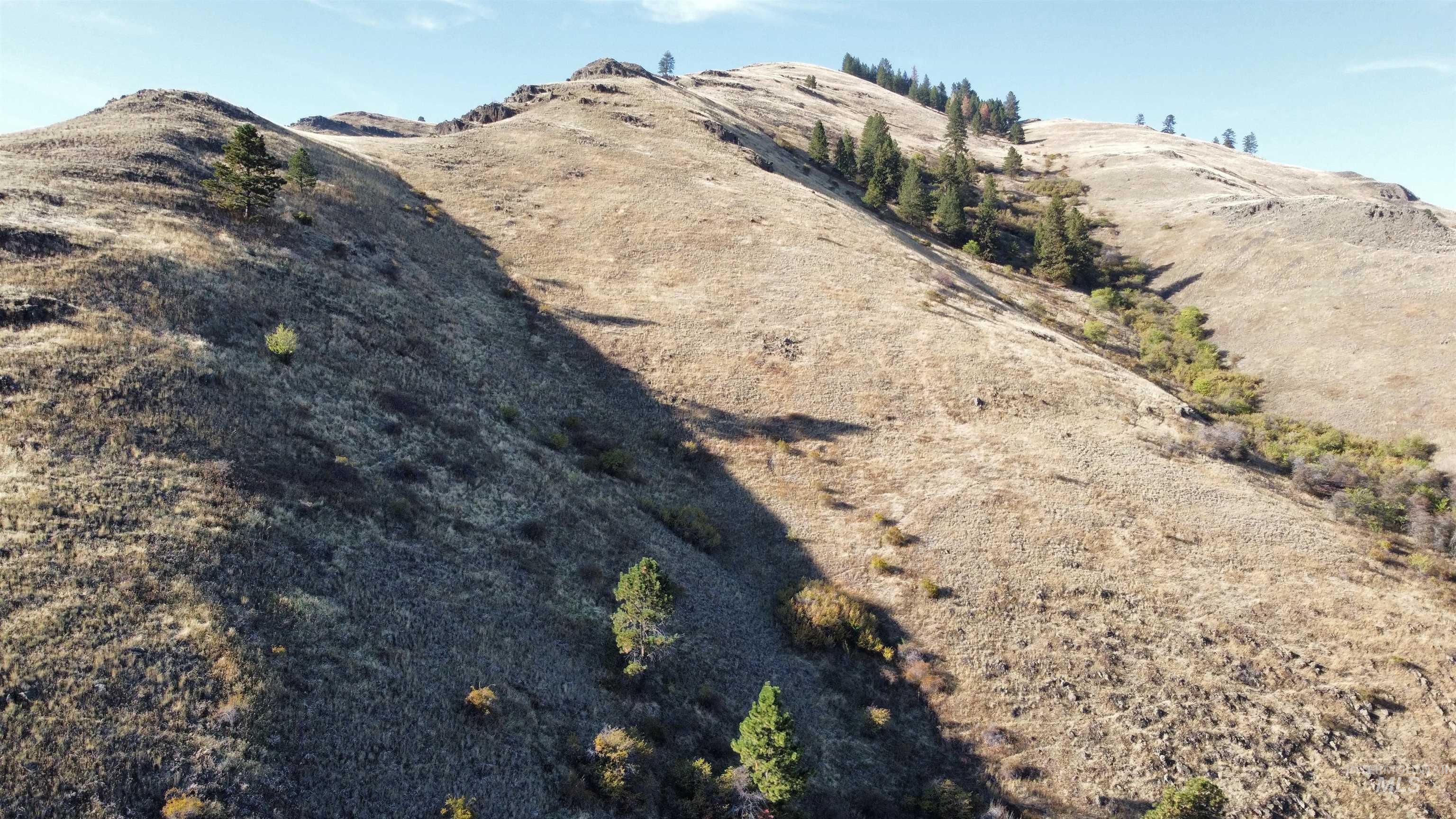 TBD Big Canyon Road, White Bird, Idaho 83554, Land For Sale, Price $399,000, 99002787