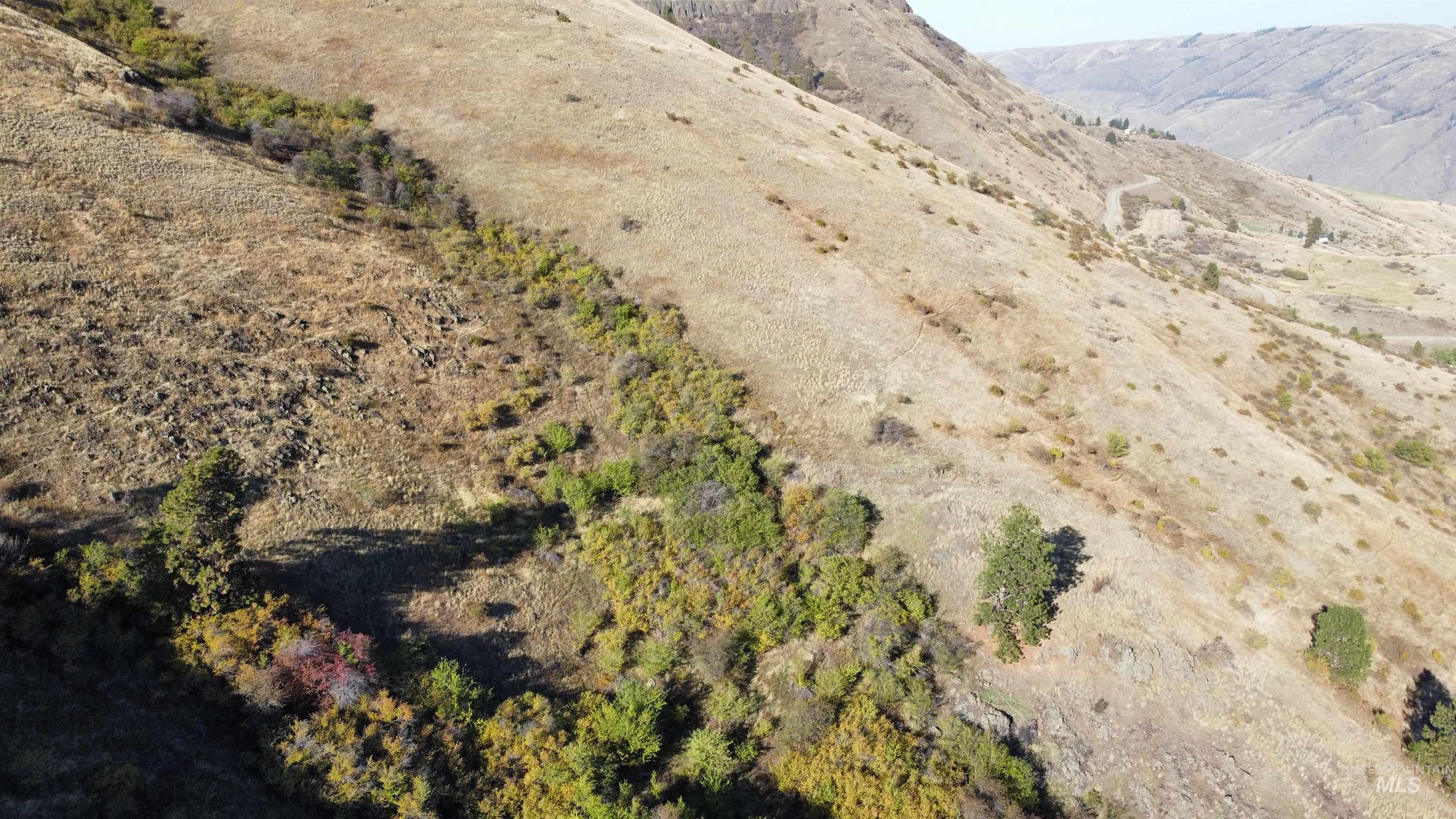 TBD Big Canyon Road, White Bird, Idaho 83554, Land For Sale, Price $399,000, 99002787