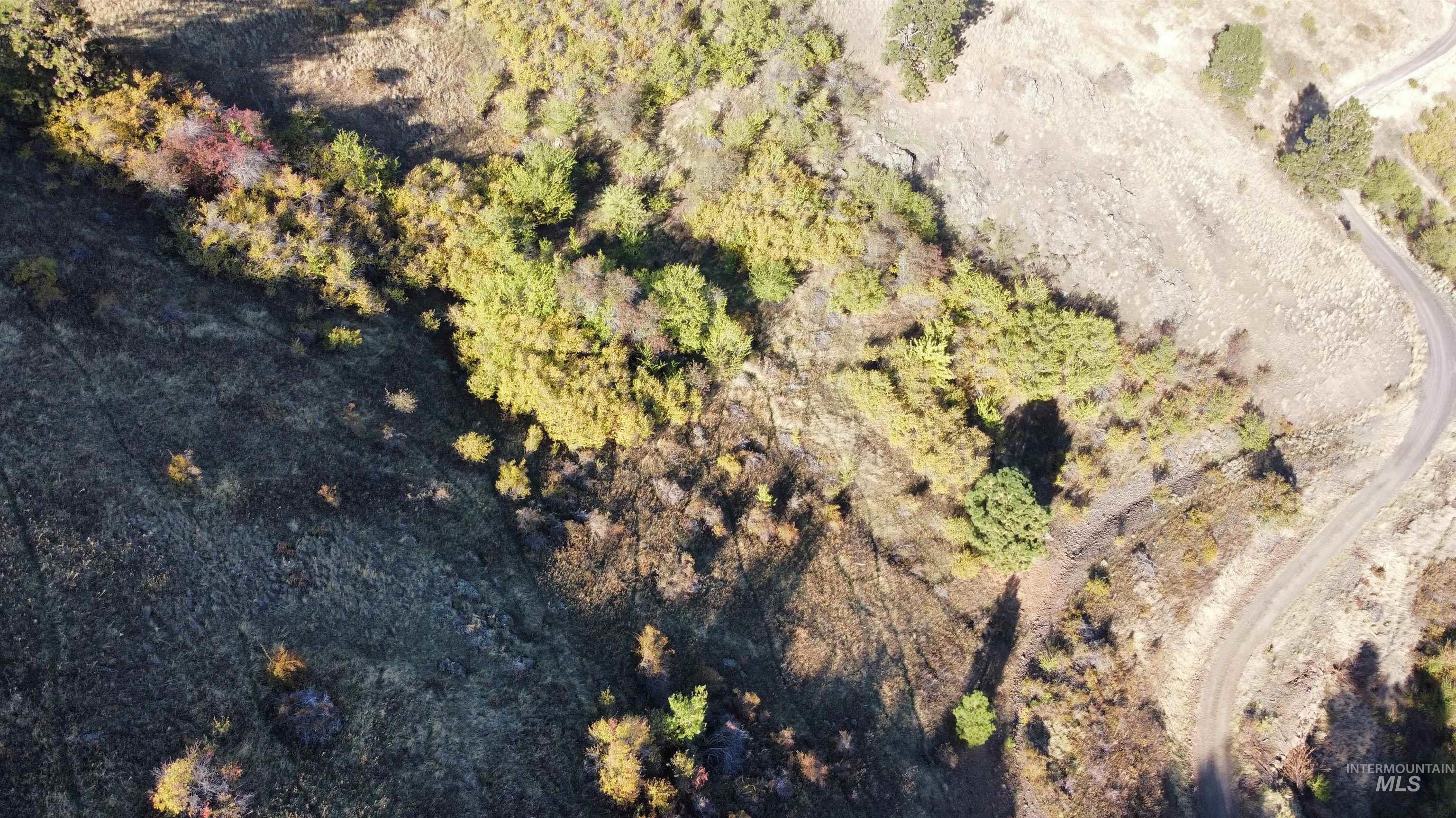 TBD Big Canyon Road, White Bird, Idaho 83554, Land For Sale, Price $399,000, 99002787