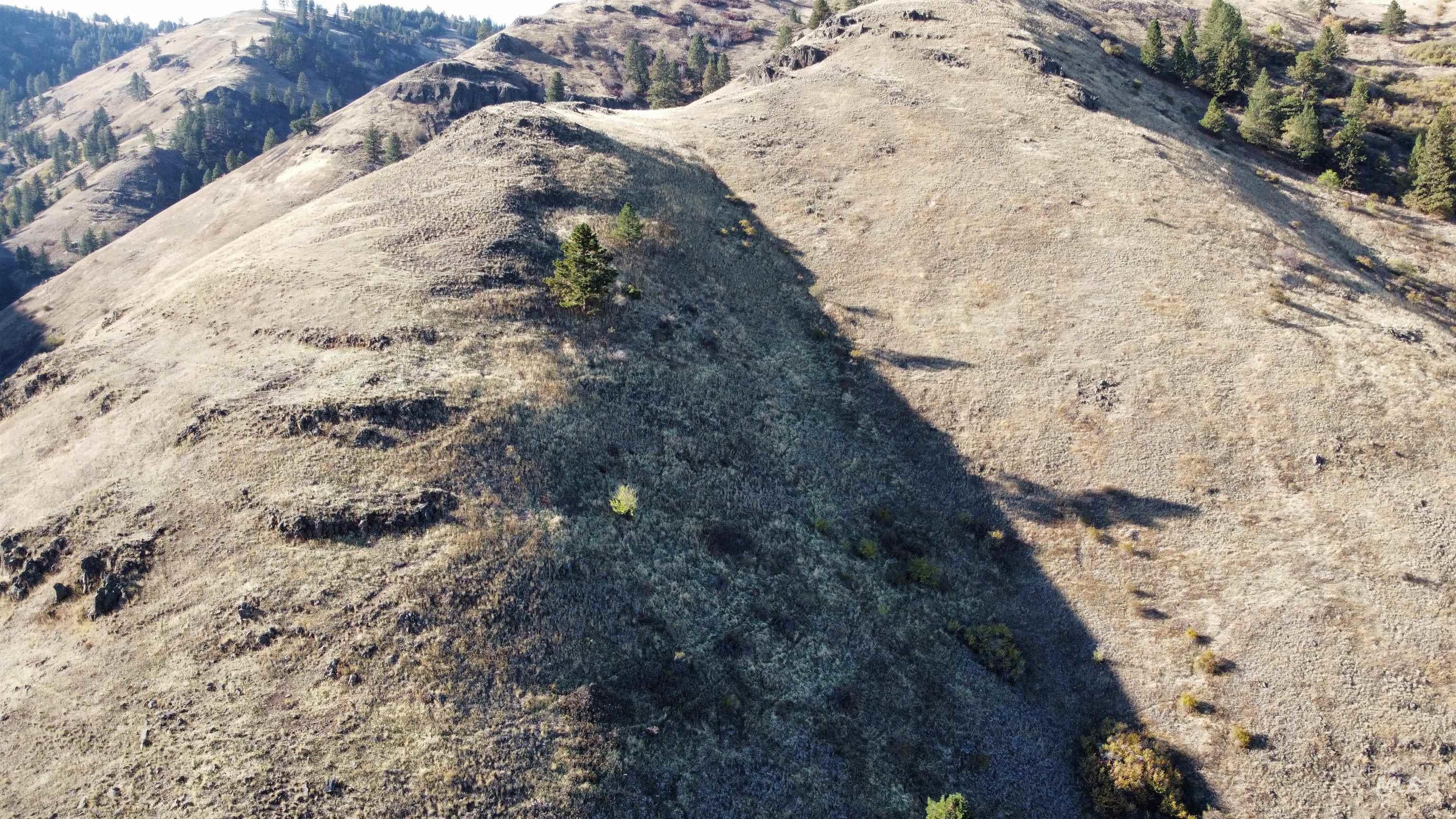 TBD Big Canyon Road, White Bird, Idaho 83554, Land For Sale, Price $399,000, 99002787