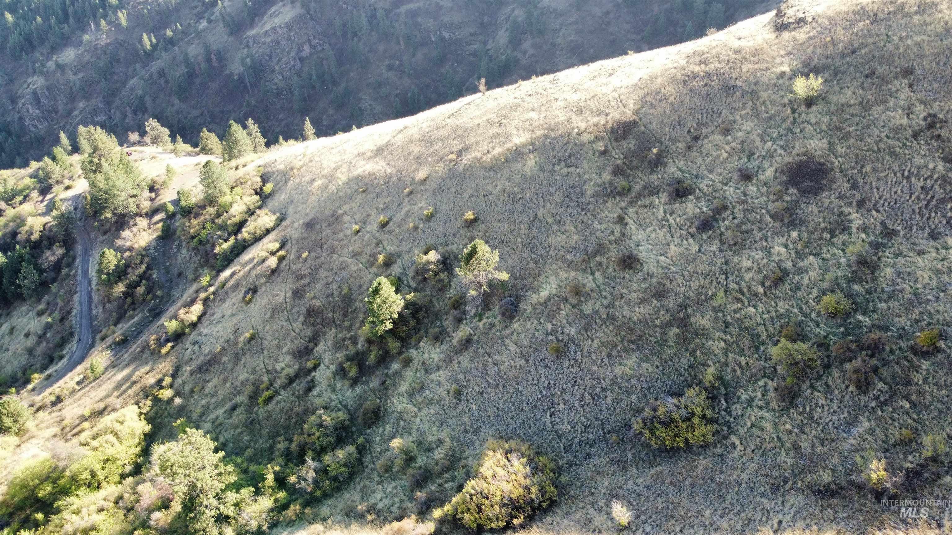 TBD Big Canyon Road, White Bird, Idaho 83554, Land For Sale, Price $399,000, 99002787