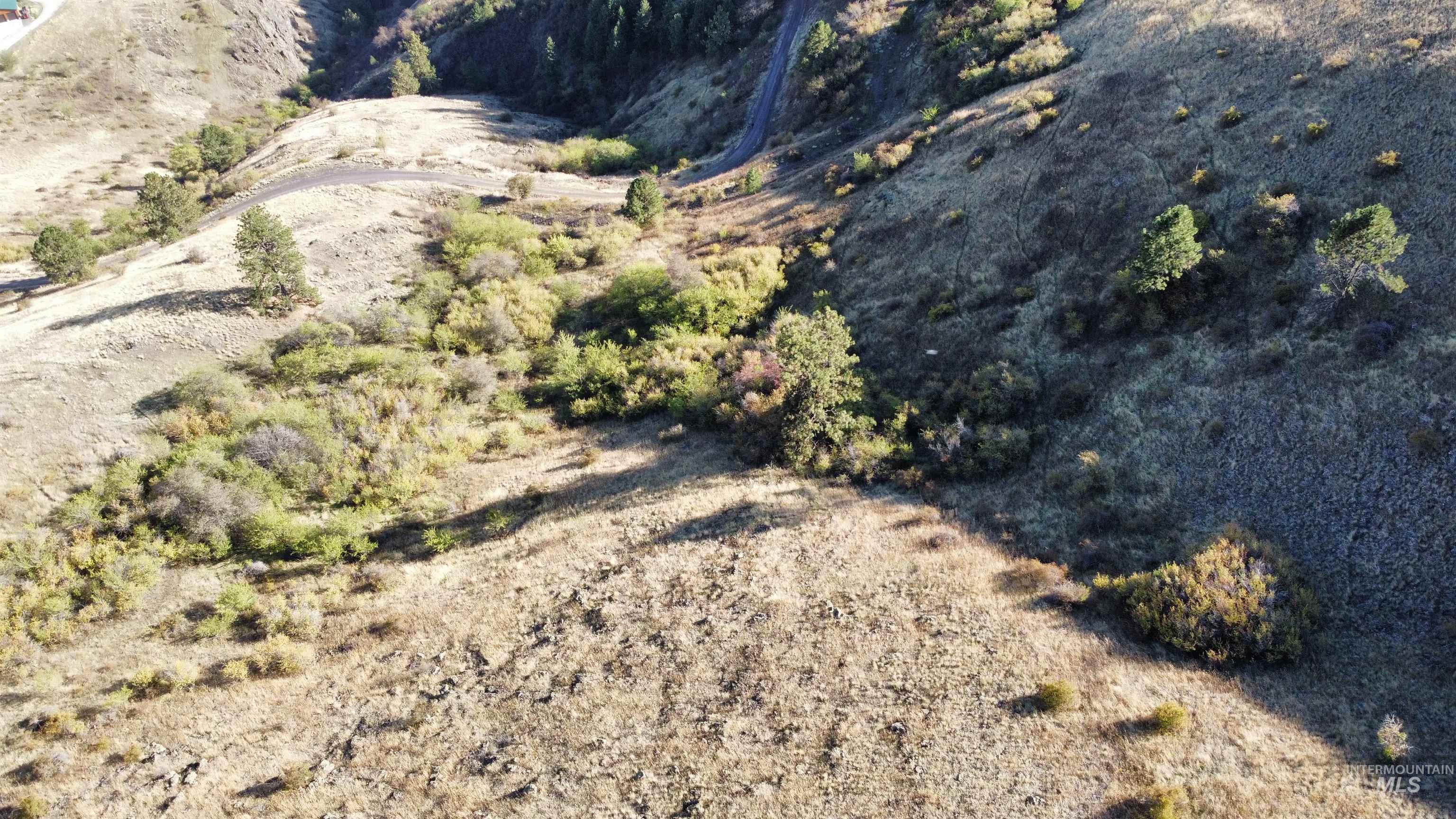 TBD Big Canyon Road, White Bird, Idaho 83554, Land For Sale, Price $399,000, 99002787