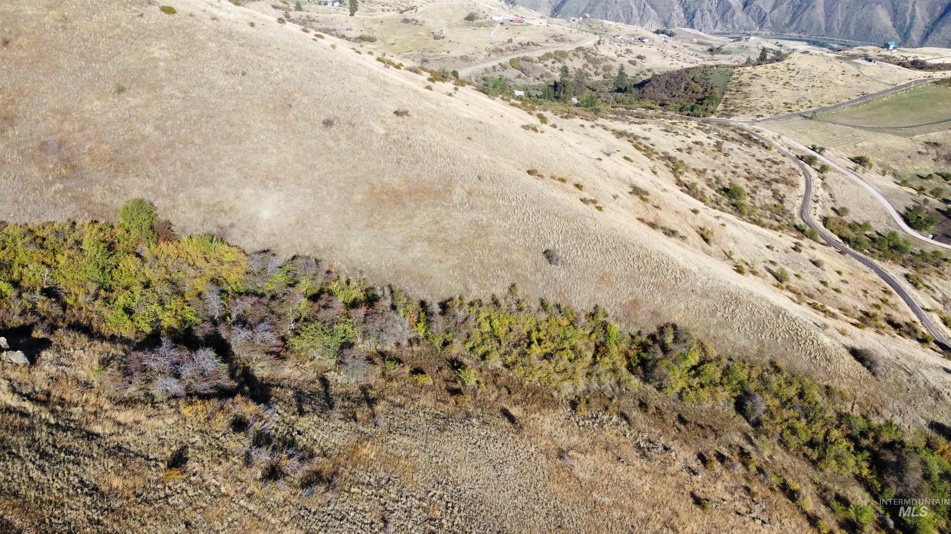 TBD Big Canyon Road, White Bird, Idaho 83554, Land For Sale, Price $399,000, 99002787