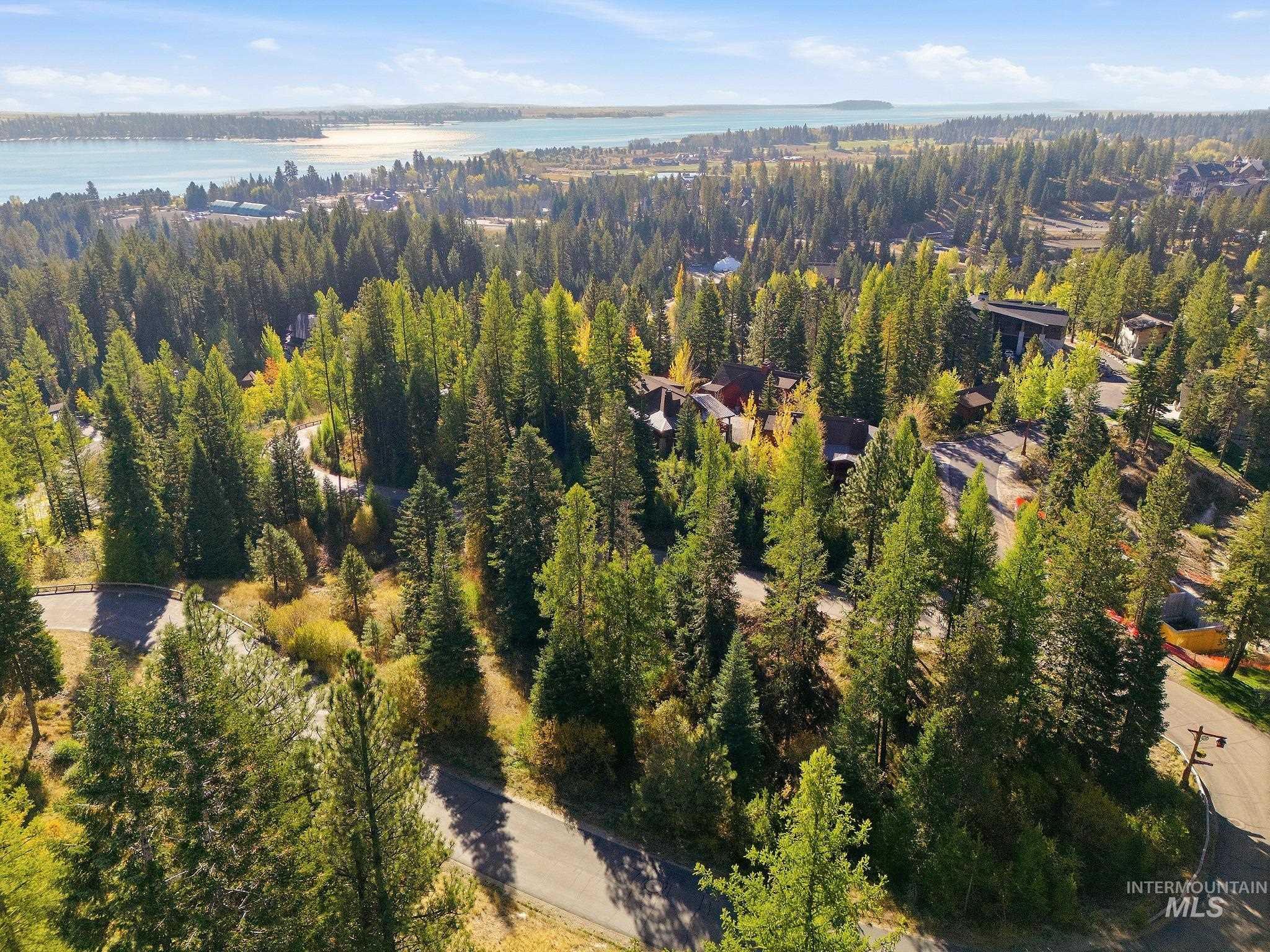 258 Whitewater Drive, Donnelly, Idaho 83615, Land For Sale, Price $475,000,MLS 99002810