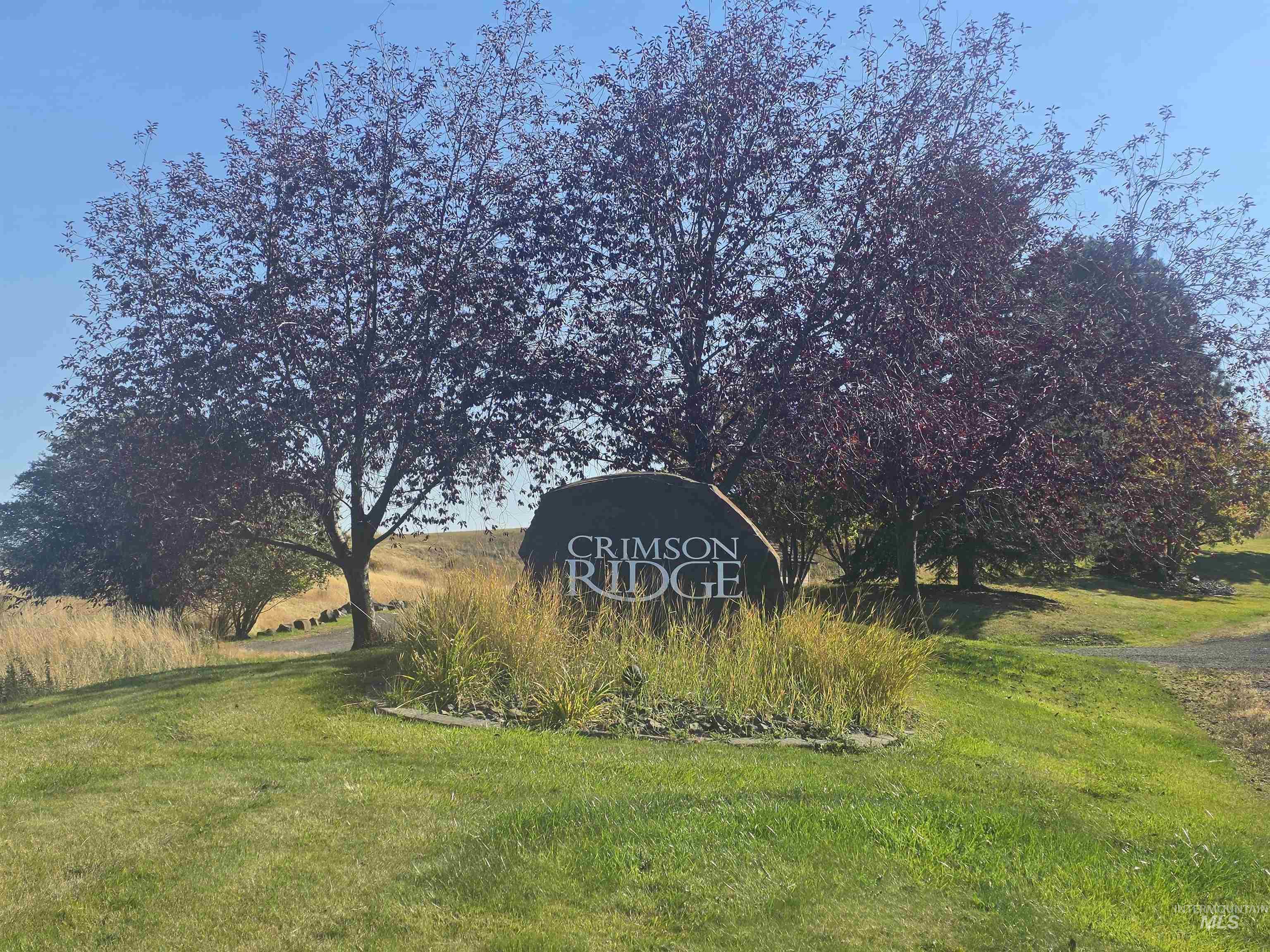 263 Ridgeview Dr, Grangeville, Idaho 83530, Land For Sale, Price $175,000,MLS 99002905