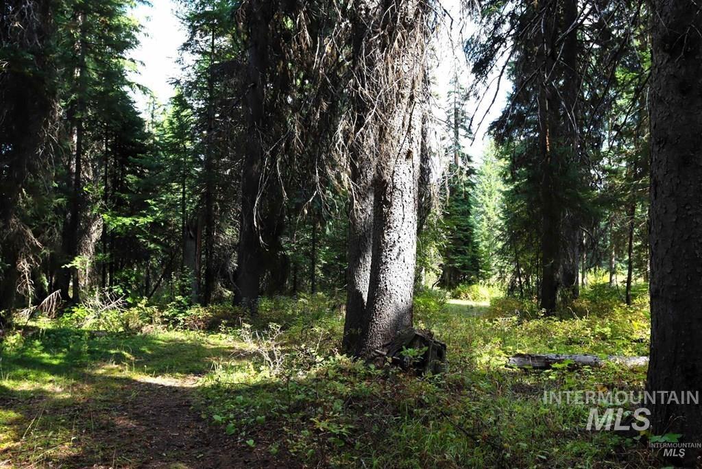 2325 W Mountain, Donnelly, Idaho 83615, Land For Sale, Price $209,000,MLS 99003018