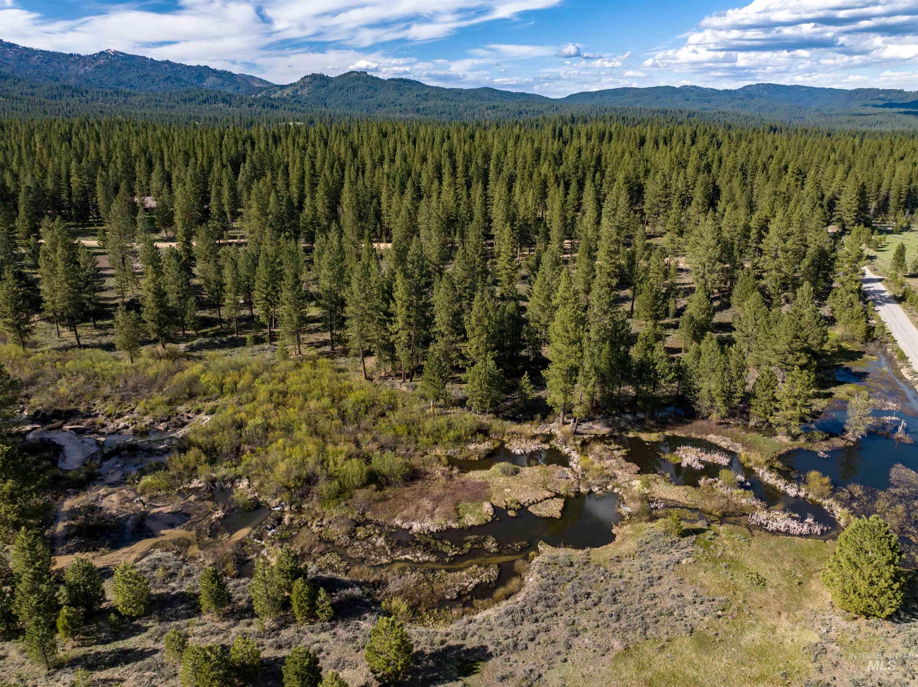 Lot 24 Trail Creek Ct, Placerville, Idaho 83666, Land For Sale, Price $195,000,MLS 99003021