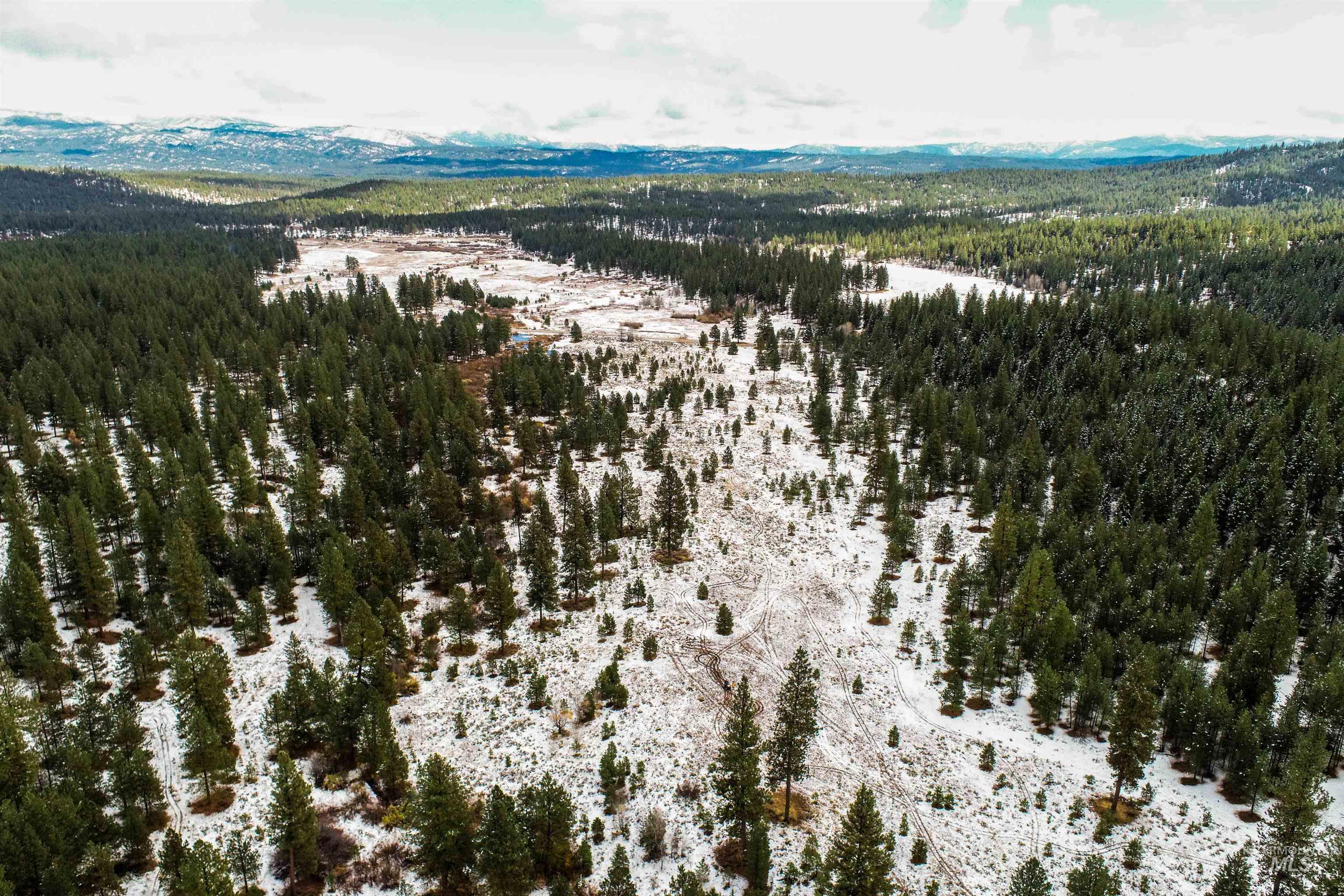 Lot 24 Trail Creek Ct, Placerville, Idaho 83666, Land For Sale, Price $195,000,MLS 99003021