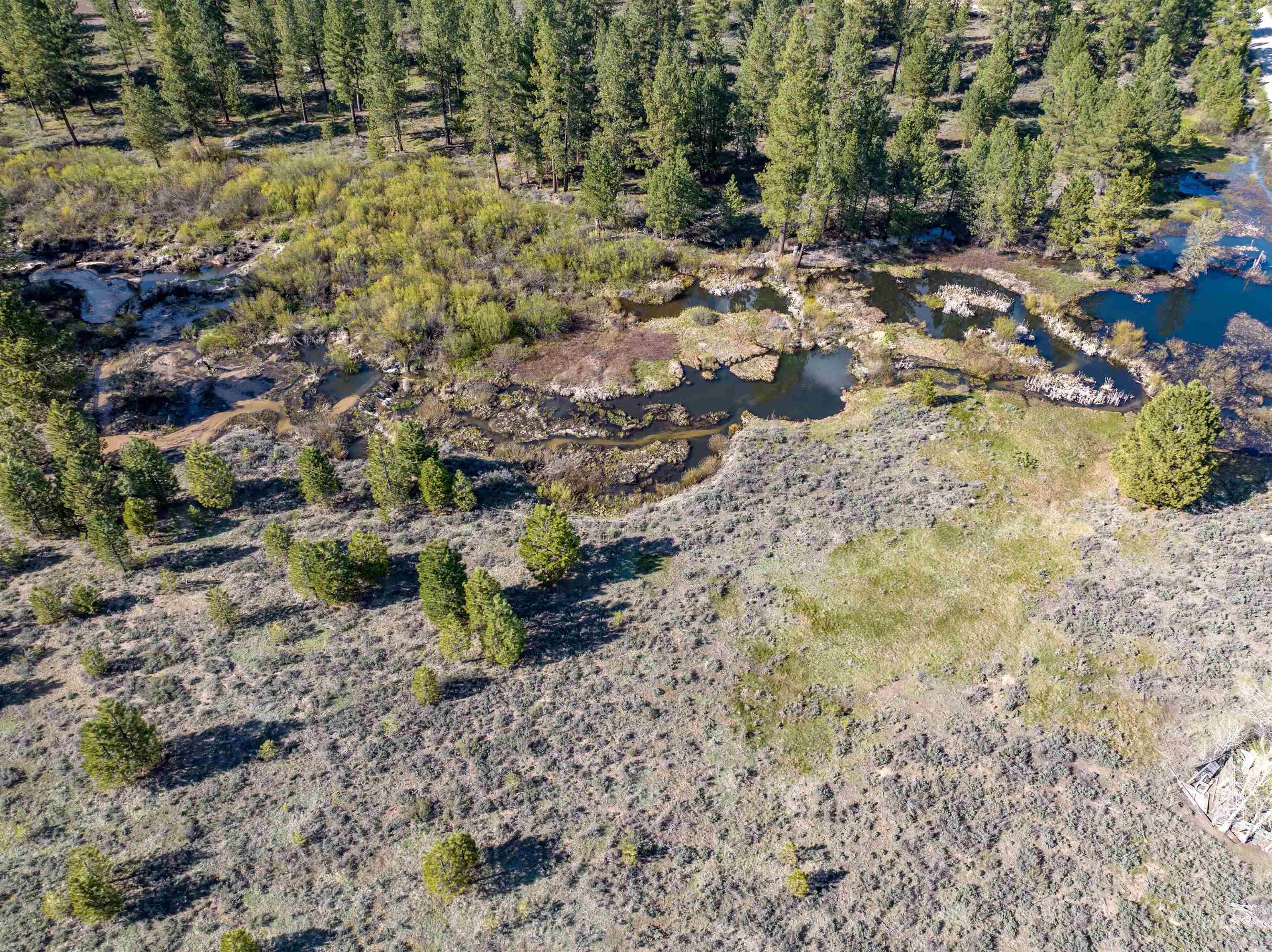 Lot 24 Trail Creek Ct, Placerville, Idaho 83666, Land For Sale, Price $195,000,MLS 99003021