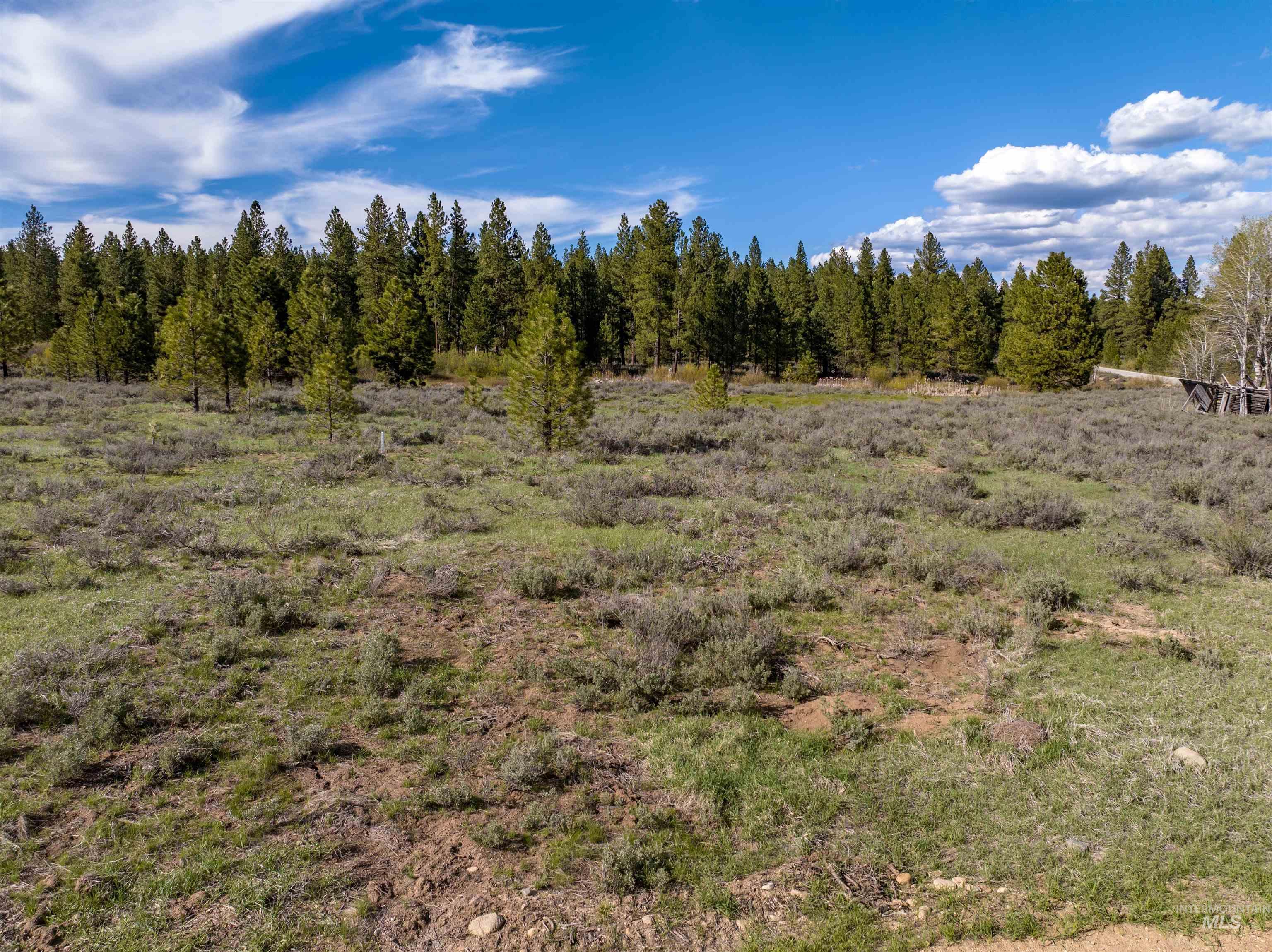 Lot 24 Trail Creek Ct, Placerville, Idaho 83666, Land For Sale, Price $195,000,MLS 99003021